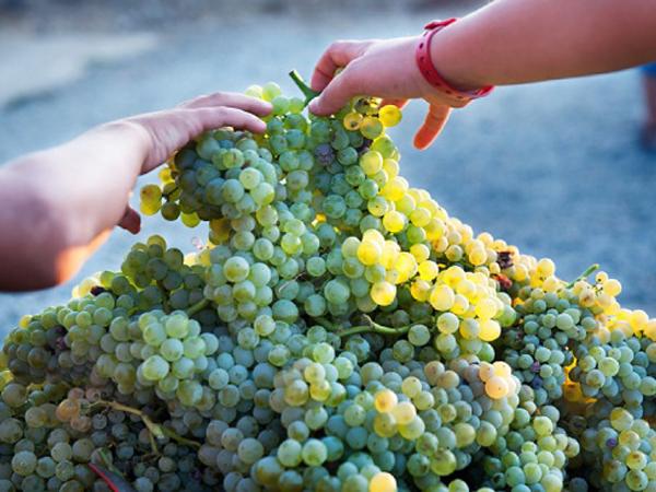 10 plans per al darrer cap de setmana d'agost