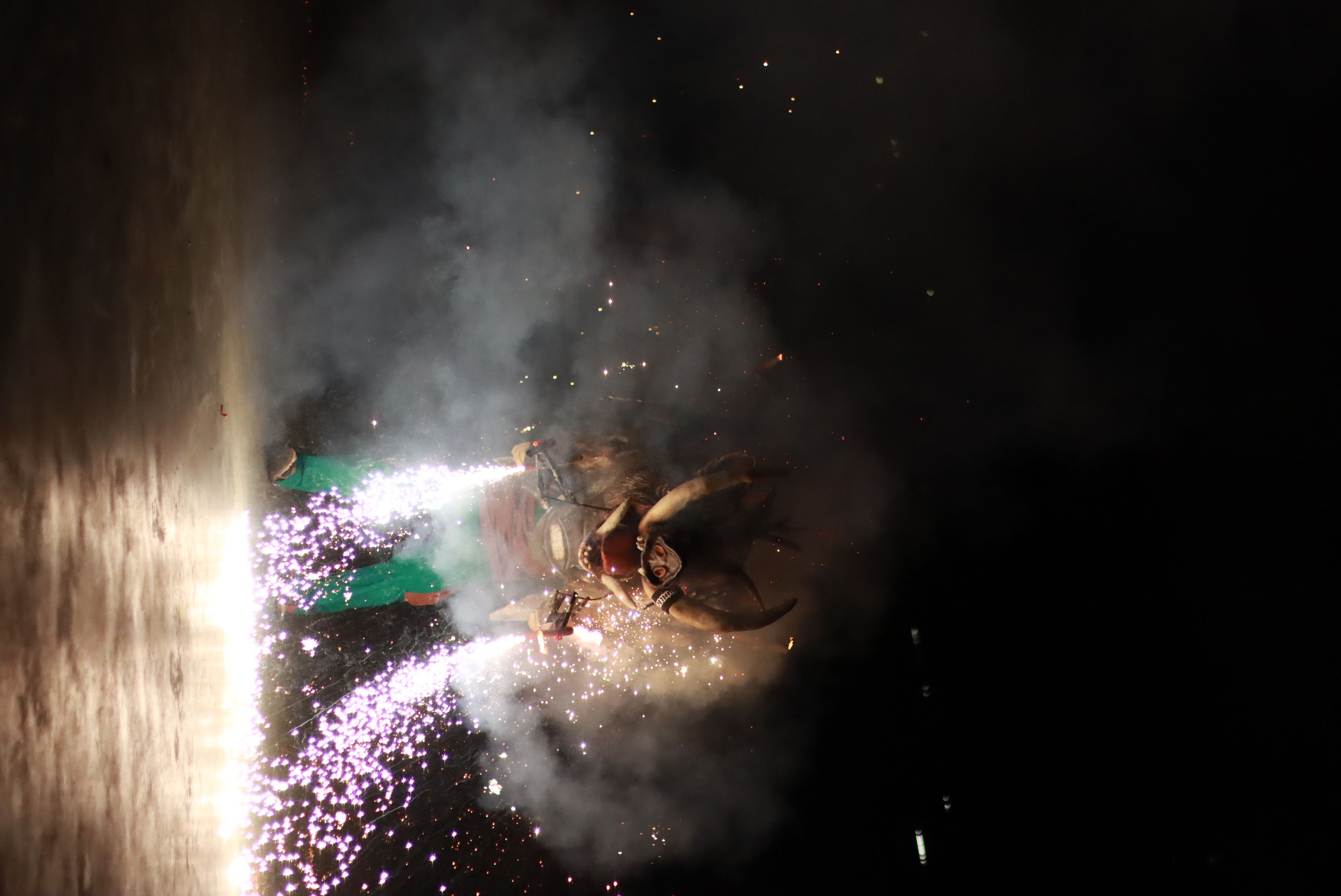 Les bèsties de foc i les colles de diables de Rubí donen el tret de sortida a la Festa Major Petita de Sant Roc. FOTO: Josep Llamas