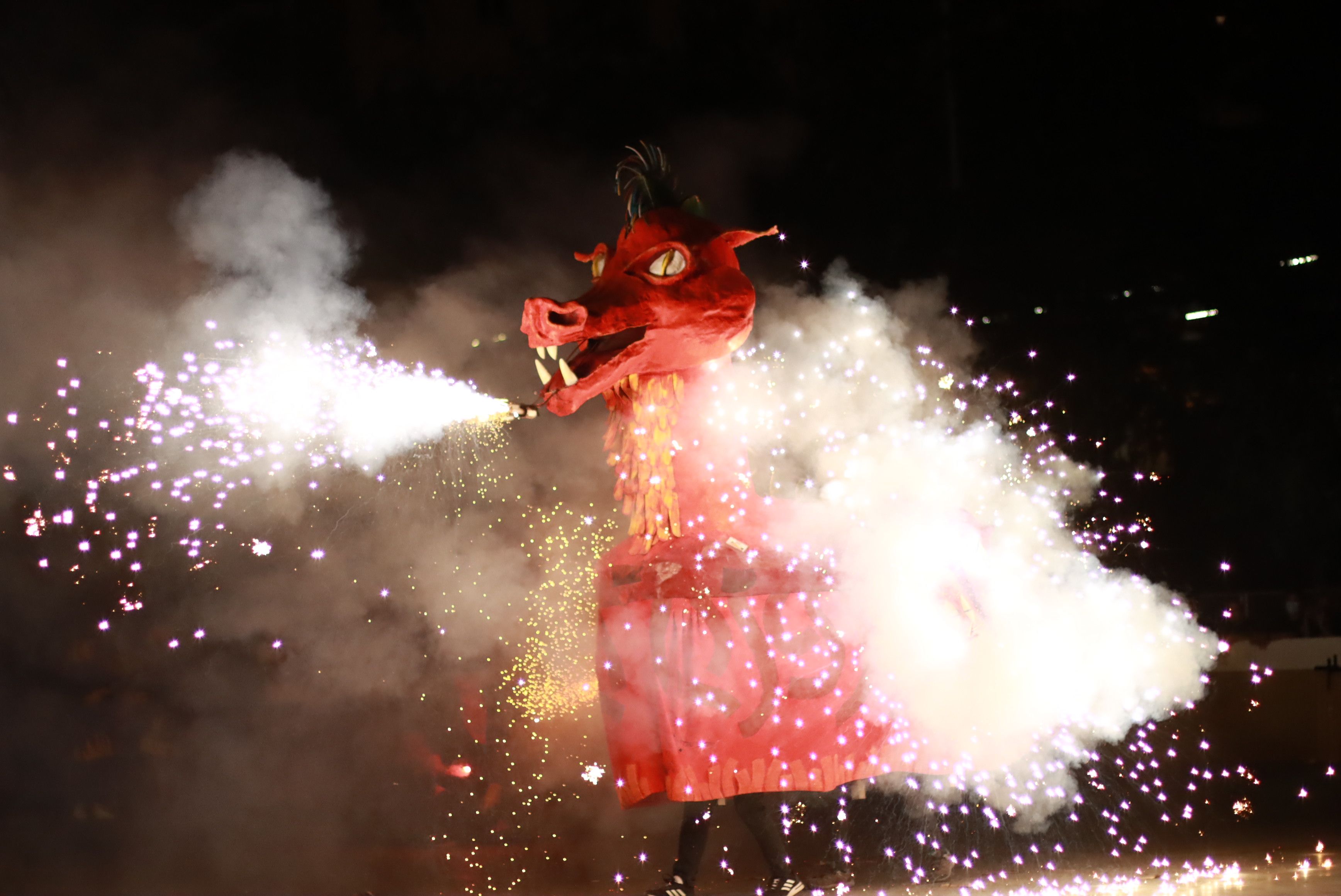 Una edició de la Trobada de Bèsties de Foc. FOTO: Josep Llamas