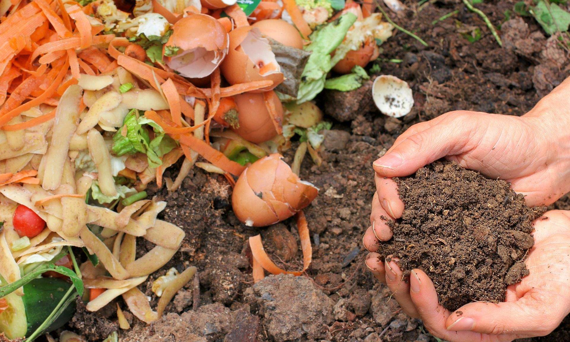 Un dels tallers proposats estarà dedicat al compost i a la creació d'adob natural. FOTO: Pixabay