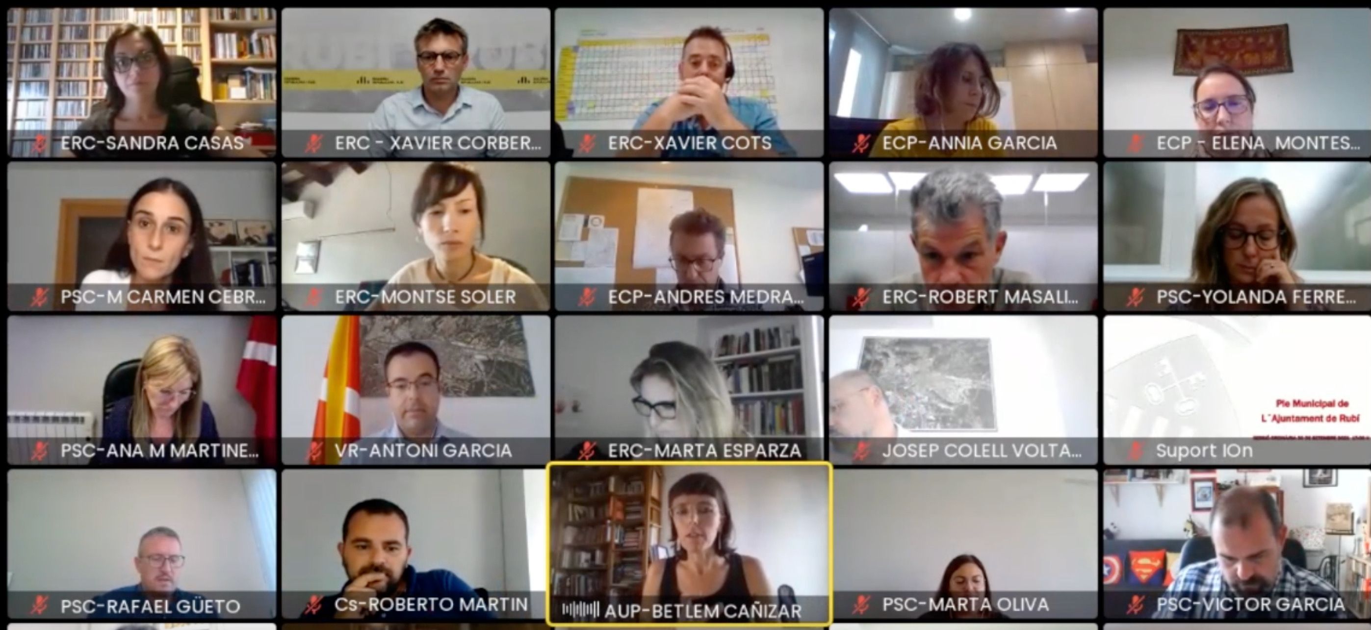 Segon ple municipal telemàtic del mes de setembre