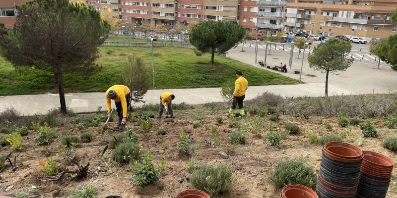 Operaris cobrint els talussos del parc de Ca n'Oriol que donen a l'avinguda de l'Estatut amb nous arbustos. FOTO: NHS