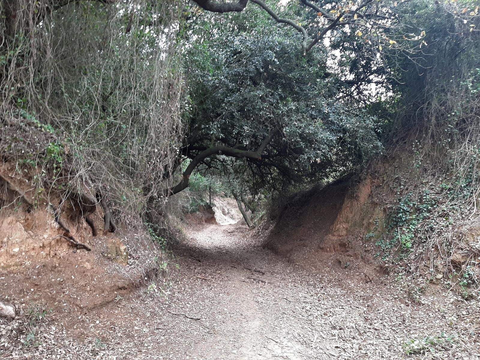 Torrent del Mut o de Can Serra. FOTO: Ajuntament de Rubí 