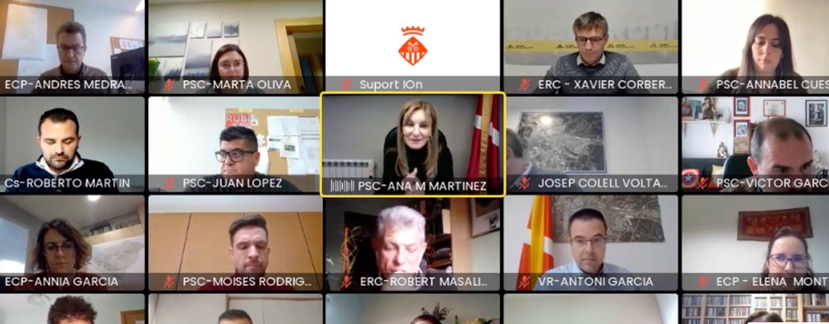 El ple municipal de Rubí del mes de desembre s'ha tornat a celebrar de forma telemàtica