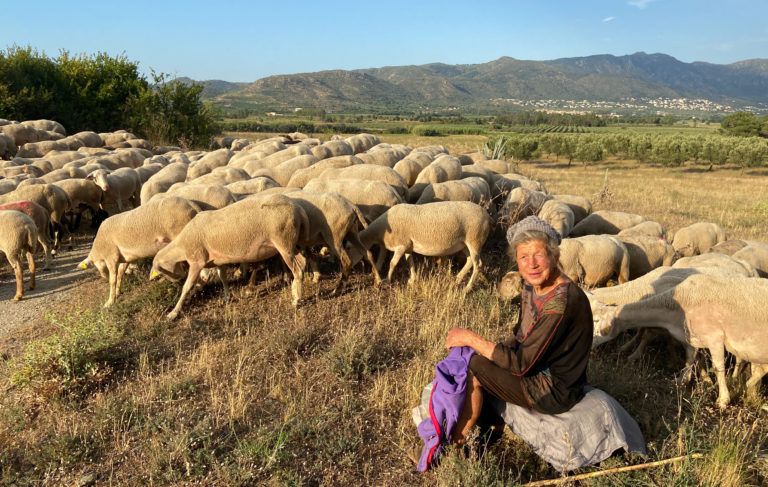 Imatge del documental 'Vull ser pastora', que es podrà veure al VOC el divendres 11 de febrer a Rubí. FONT: Òmnium Cultural