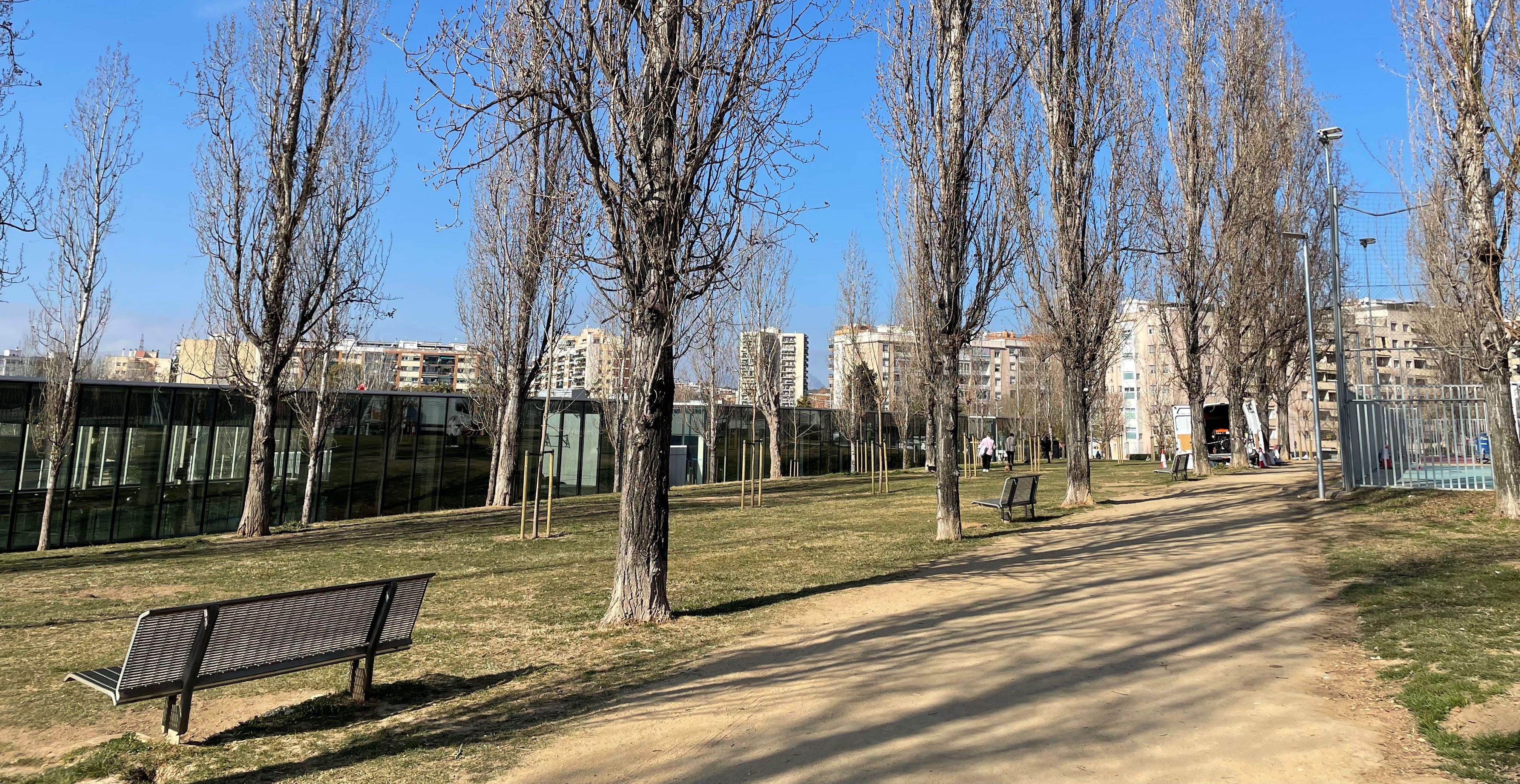 Arbres nous i antics al parc de la Pau i la Natura. FOTO: NHS Arbres nous i antics al parc de la Pau i la Natura. FOTO: NHS