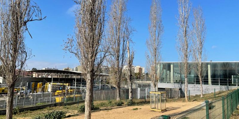 Arbres joves i bancs a la zona d'esbarjo per a gossos situat al parc de la Pau i la Natura. FOTO: NHS