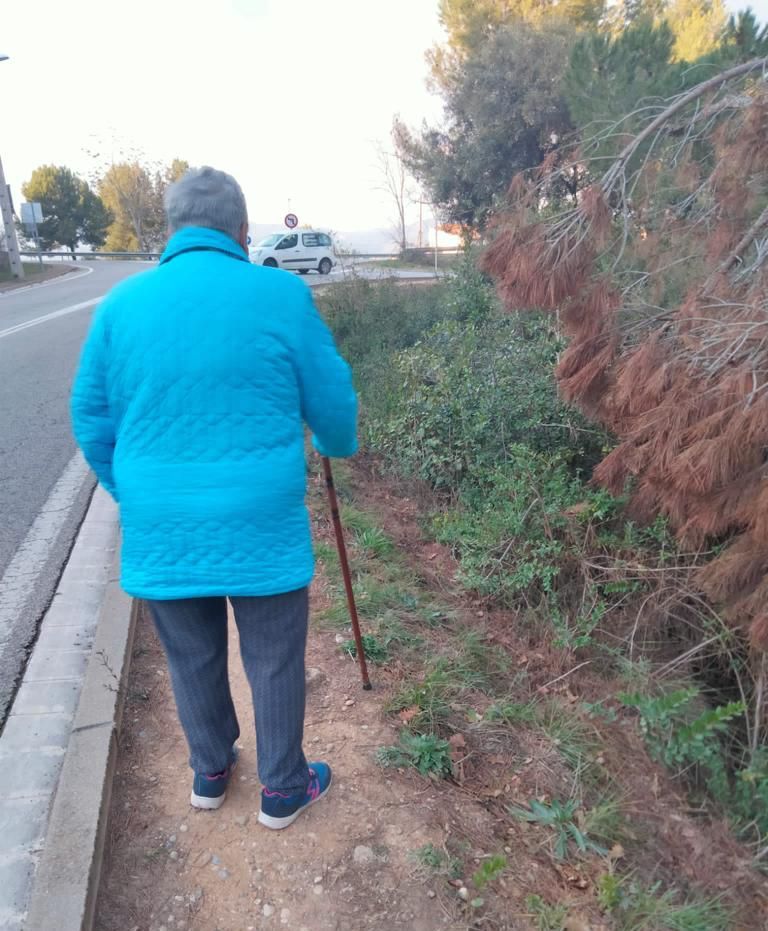 La senyora de la imatge va estar a punt de caure. FOTO: Cedida