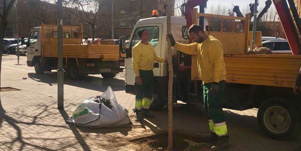 Plantació d’arbres al carrer Mare de Déu de Fàtima. FOTO: Ajuntament de Rubí Plantació d’arbres al carrer Mare de Déu de Fàtima. FOTO: Ajuntament de Rubí