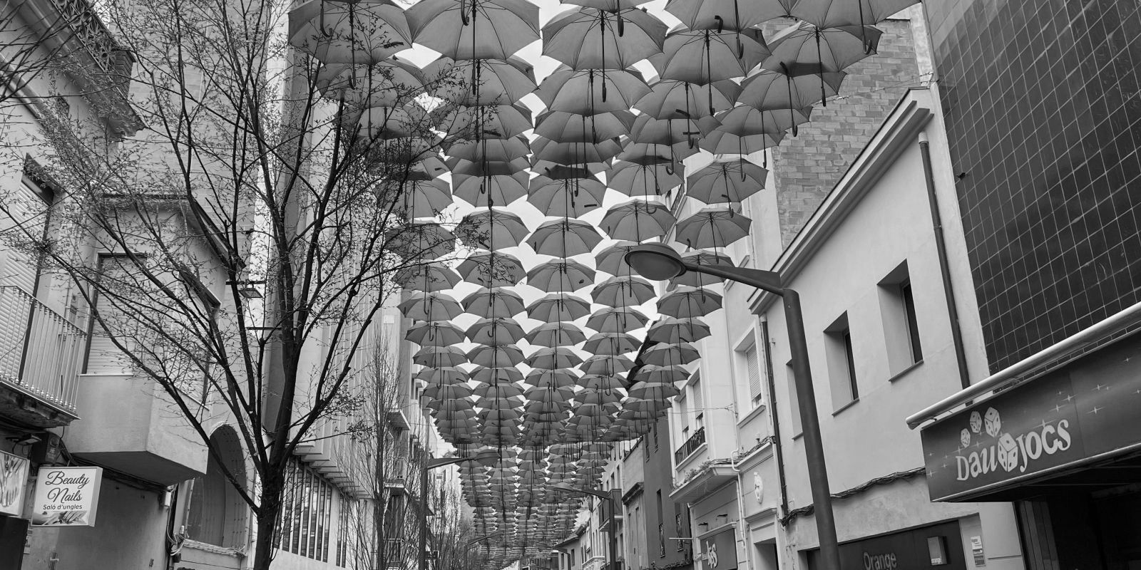 Article d'opinió de Marina Dolset Manchó, Comissió de Feminismes de l'AUP. FOTO: Redacc