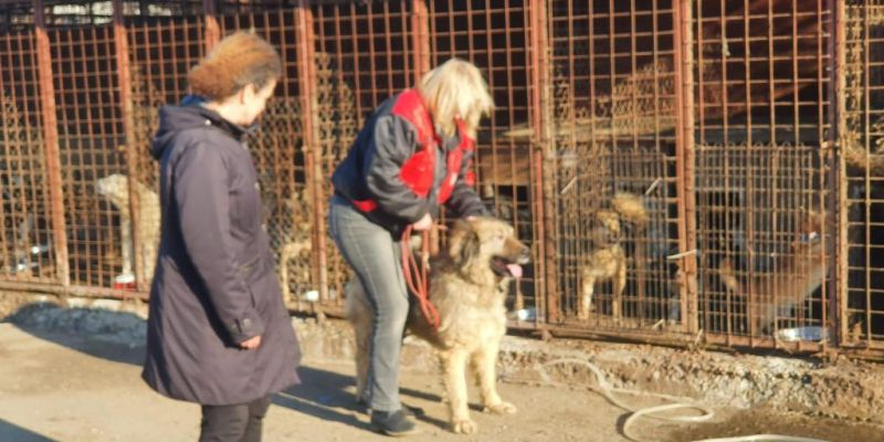 Una de les gosseres que van visitar els membres de l'associació en el seu viatge a Romania. FOTO: Cedida