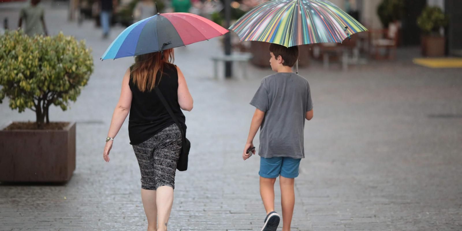 35 dites populars del mes d'abril. FOTO: TOT Sant Cugat 35 dites populars del mes d'abril. FOTO: TOT Sant Cugat