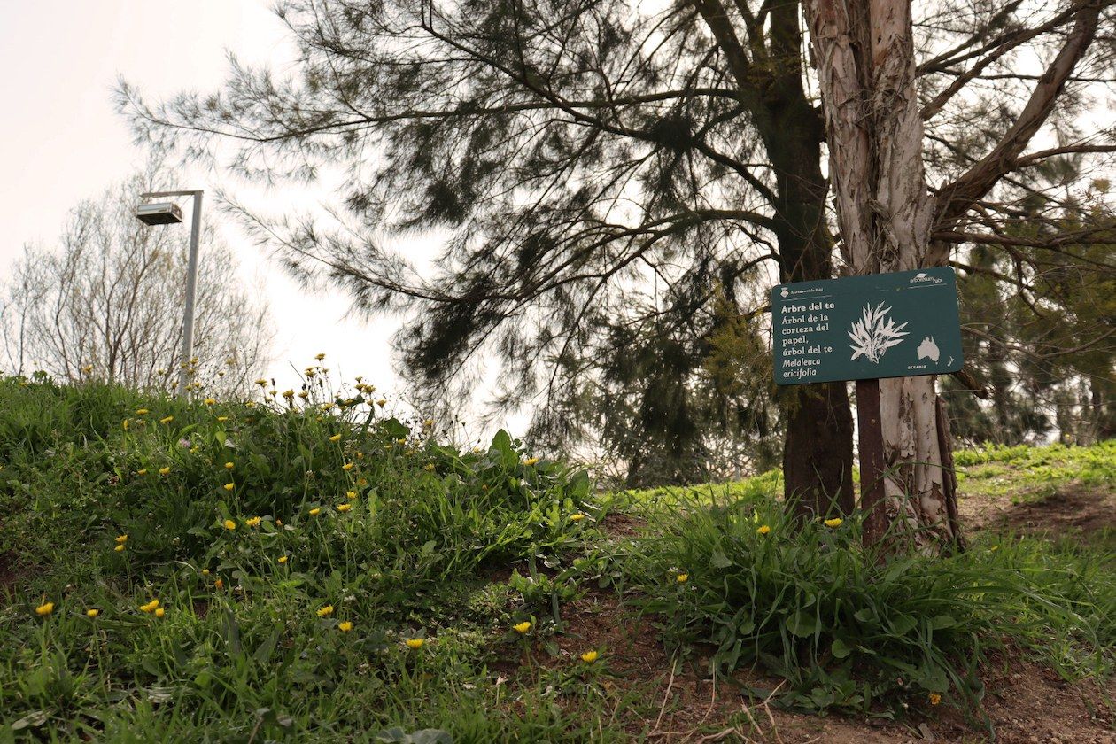 Una de les activitats a l’aire lliure és una visita guiada per la flora de l’arborètum del Castell. FOTO: Ajuntament de Rubí