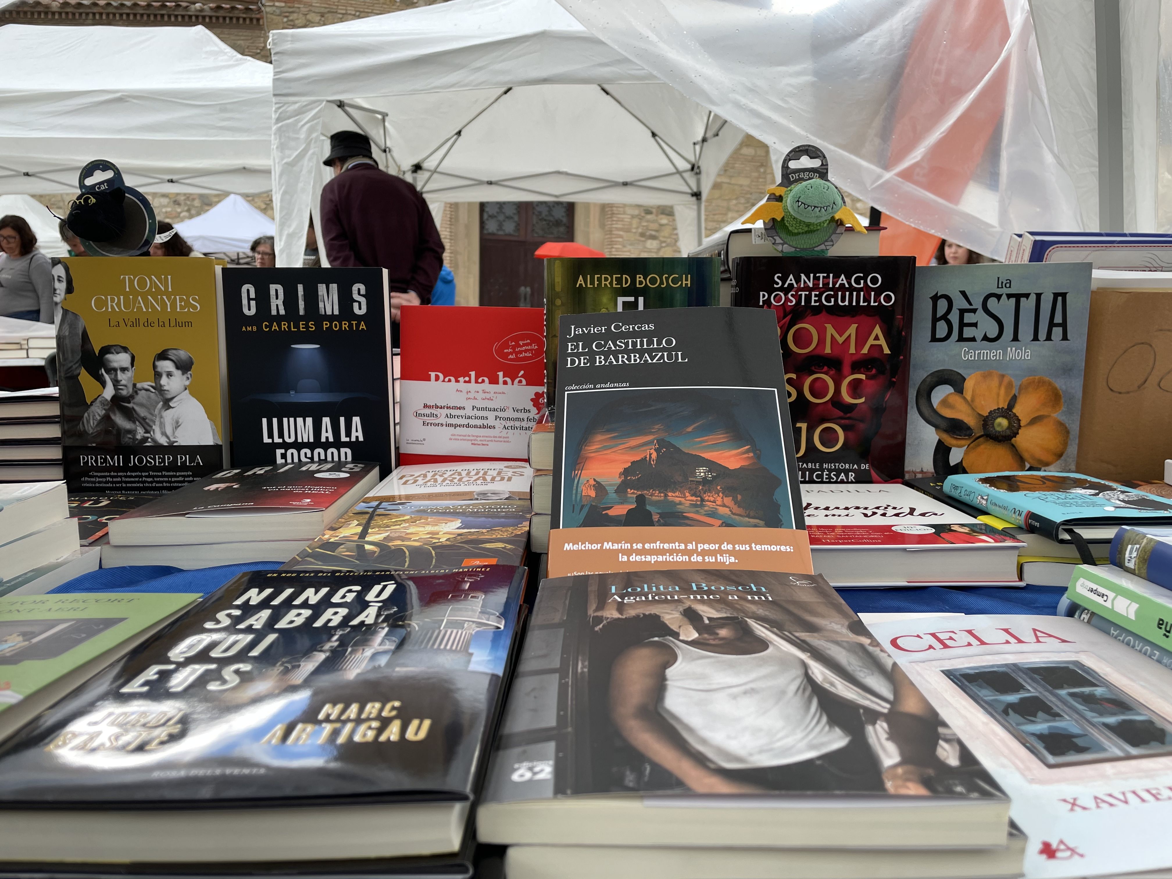 La diada de Sant Jordi recupera la normalitat. FOTO: Arnau Martínez