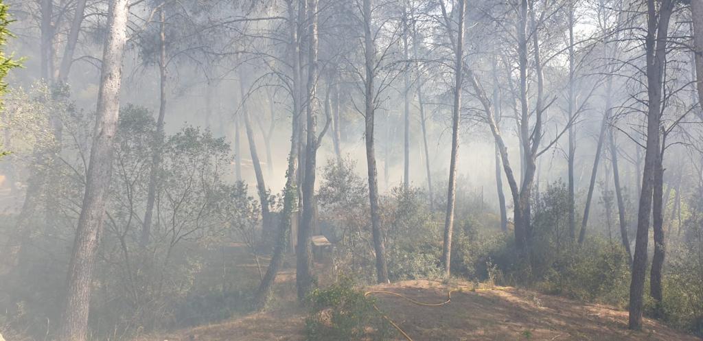 Incendi de 1.200 metres quadrats de vegetació en un barranc de la urbanització de Sant Muç. FOTO: Joaquim Gracia