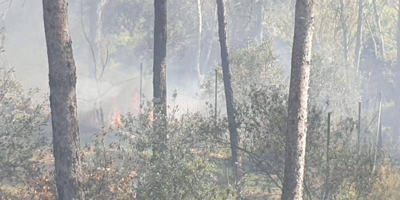 A l'esquerra de la imatge, les flames de l'incendi. FOTO: Joaquim Gracia