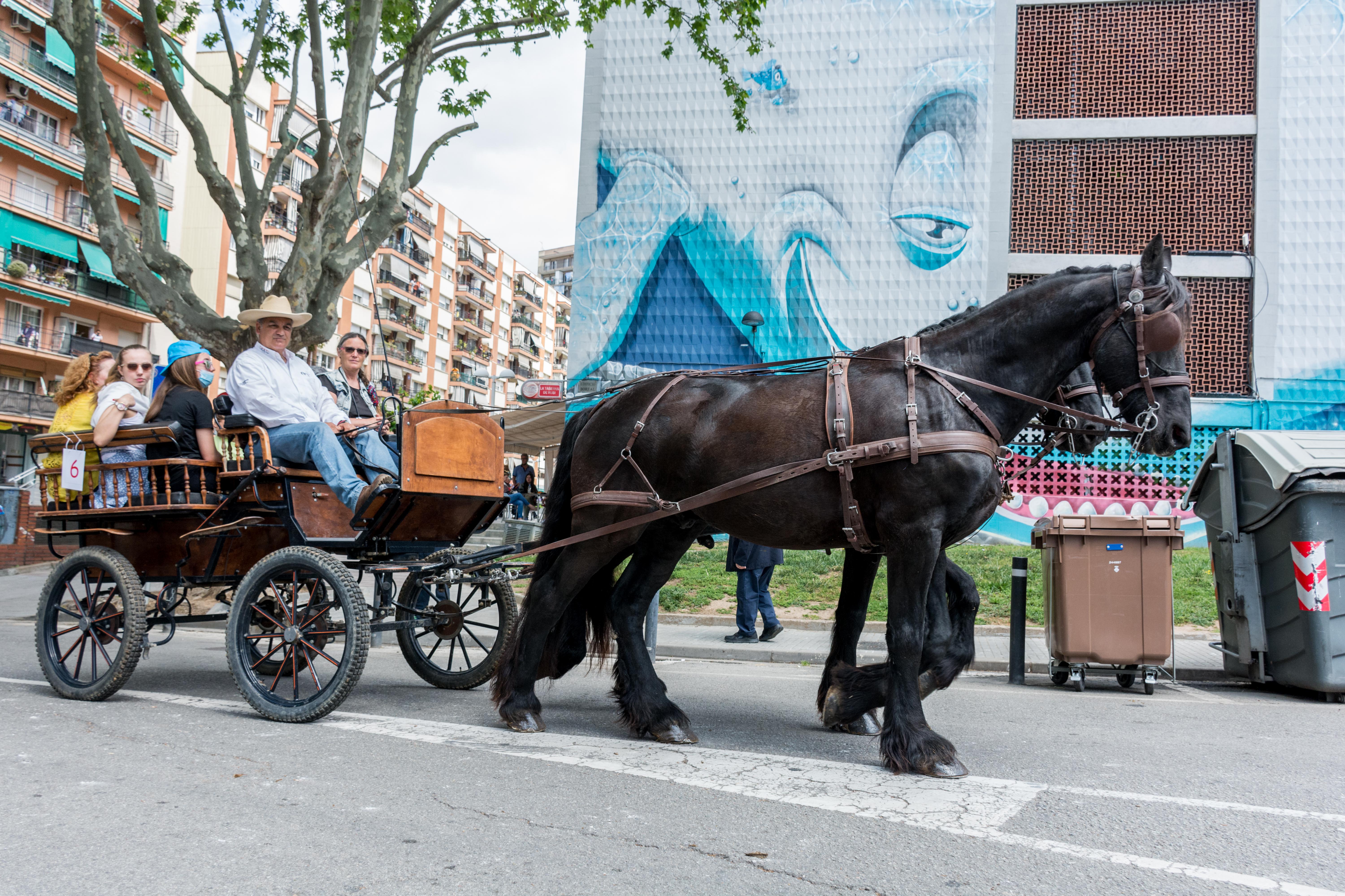 Rua dels Tres Tombs 2022. FOTO: Carmelo Jiménez