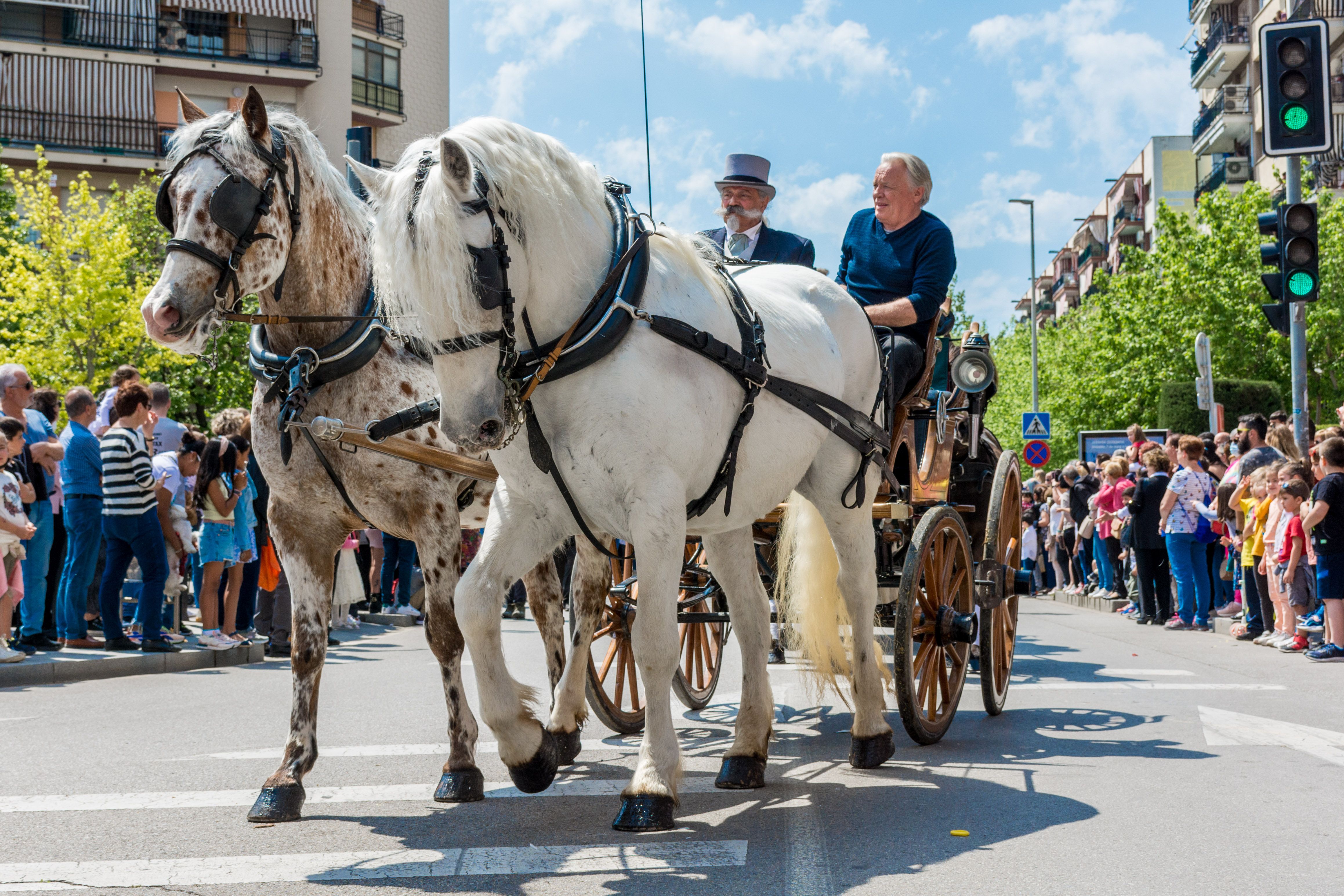 Rua dels Tres Tombs 2022. FOTO: Carmelo Jiménez