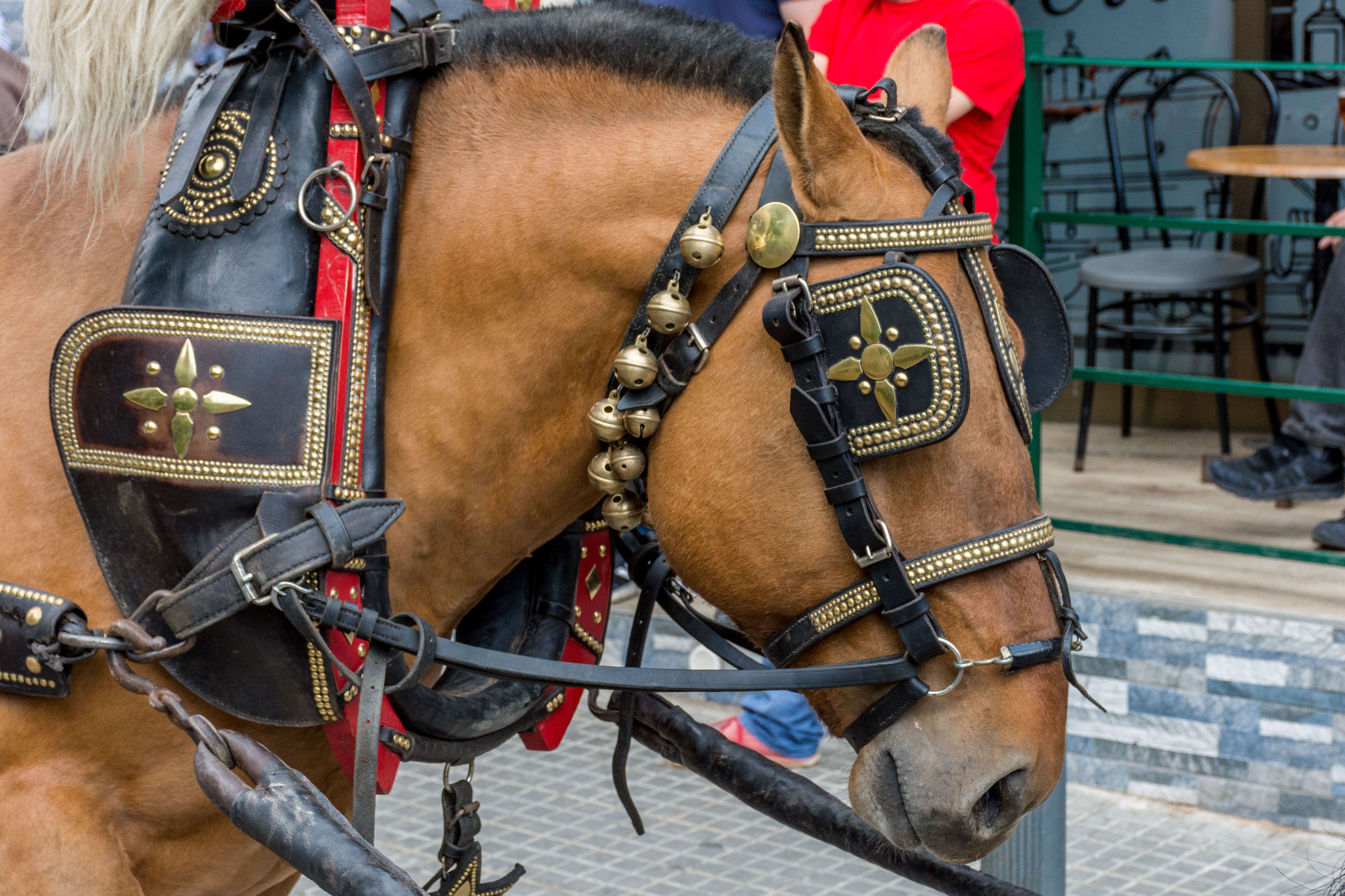 Rua dels Tres Tombs 2022. FOTO: Carmelo Jiménez