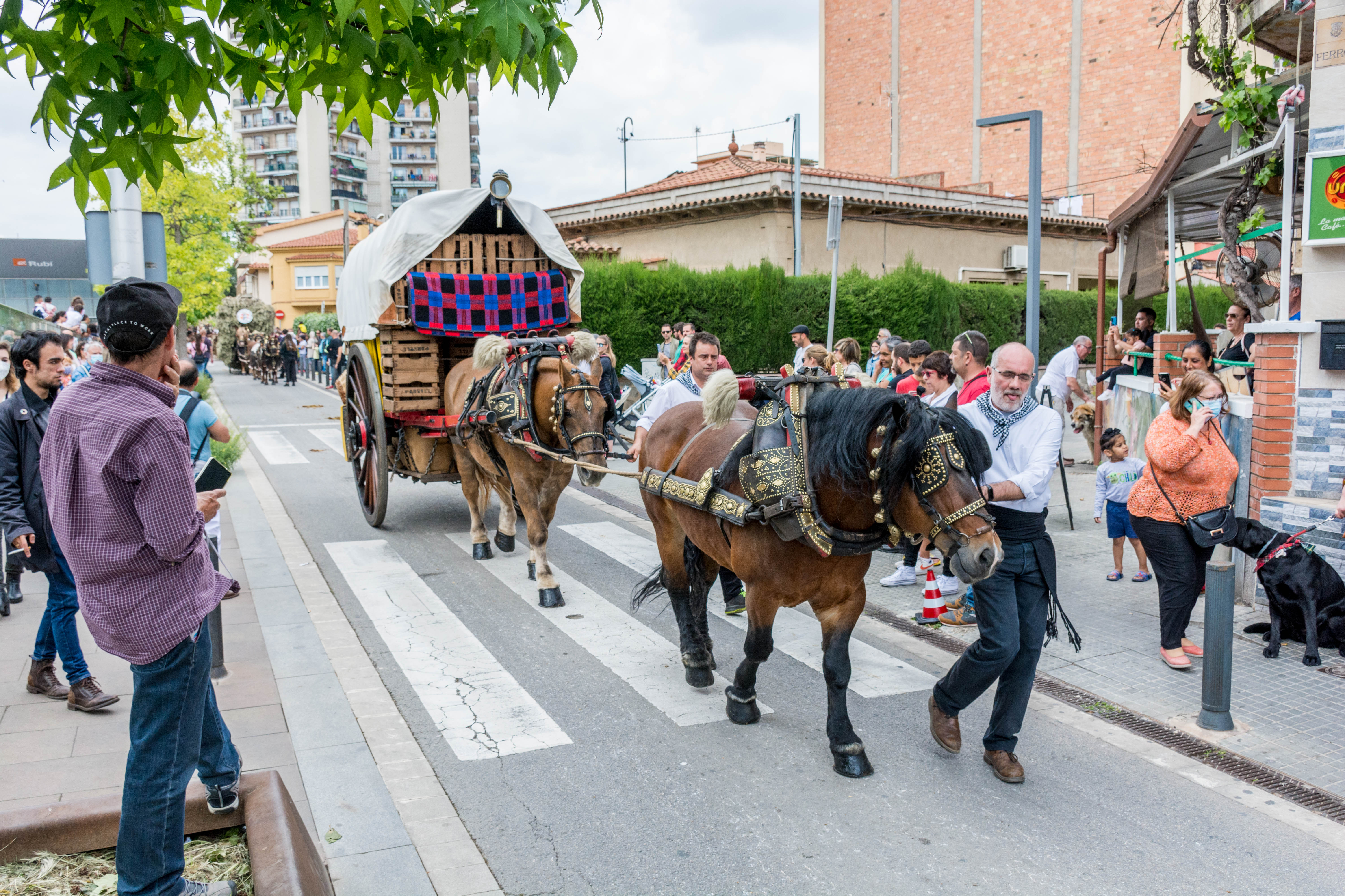 Rua dels Tres Tombs 2022. FOTO: Carmelo Jiménez