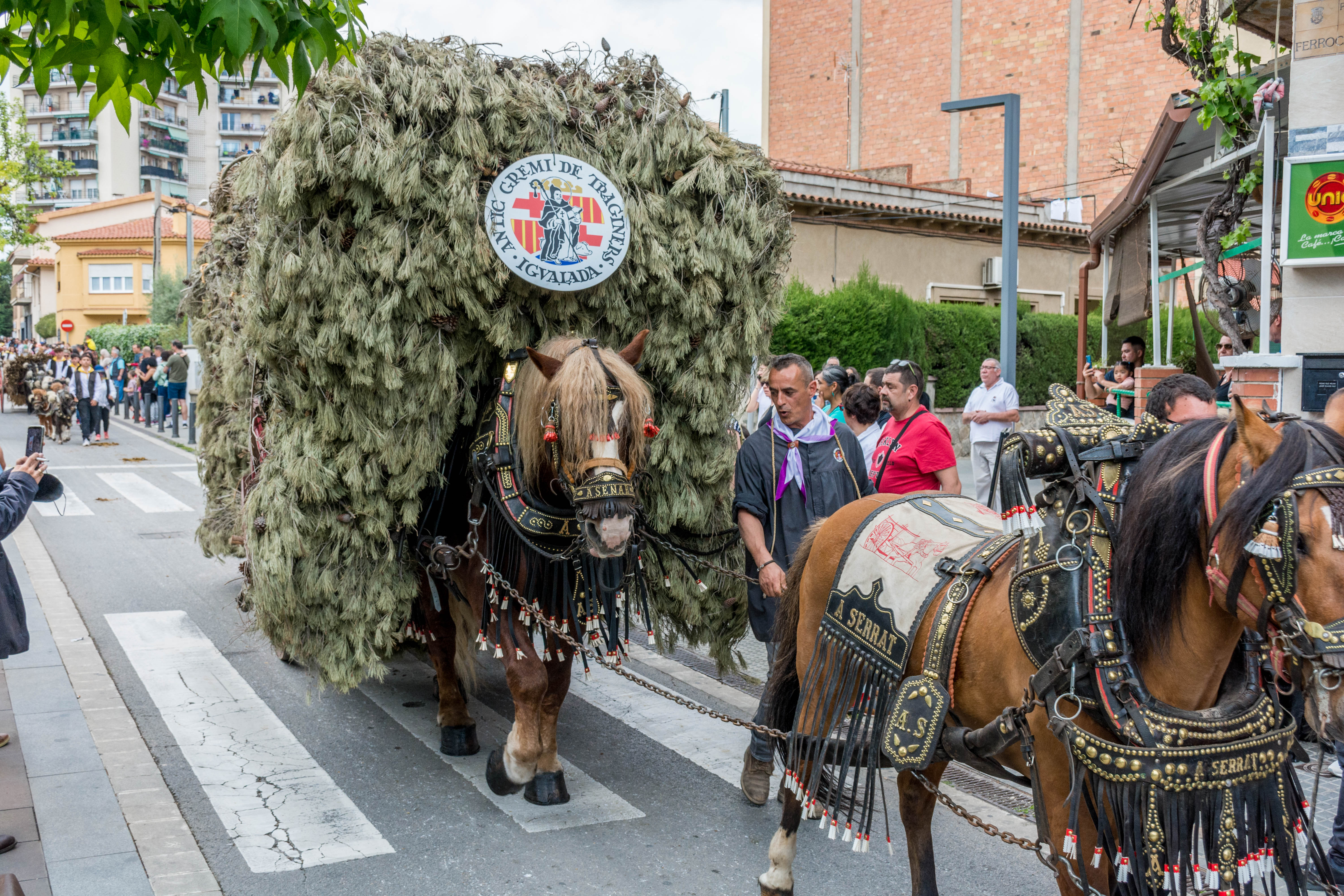 Rua dels Tres Tombs 2022. FOTO: Carmelo Jiménez