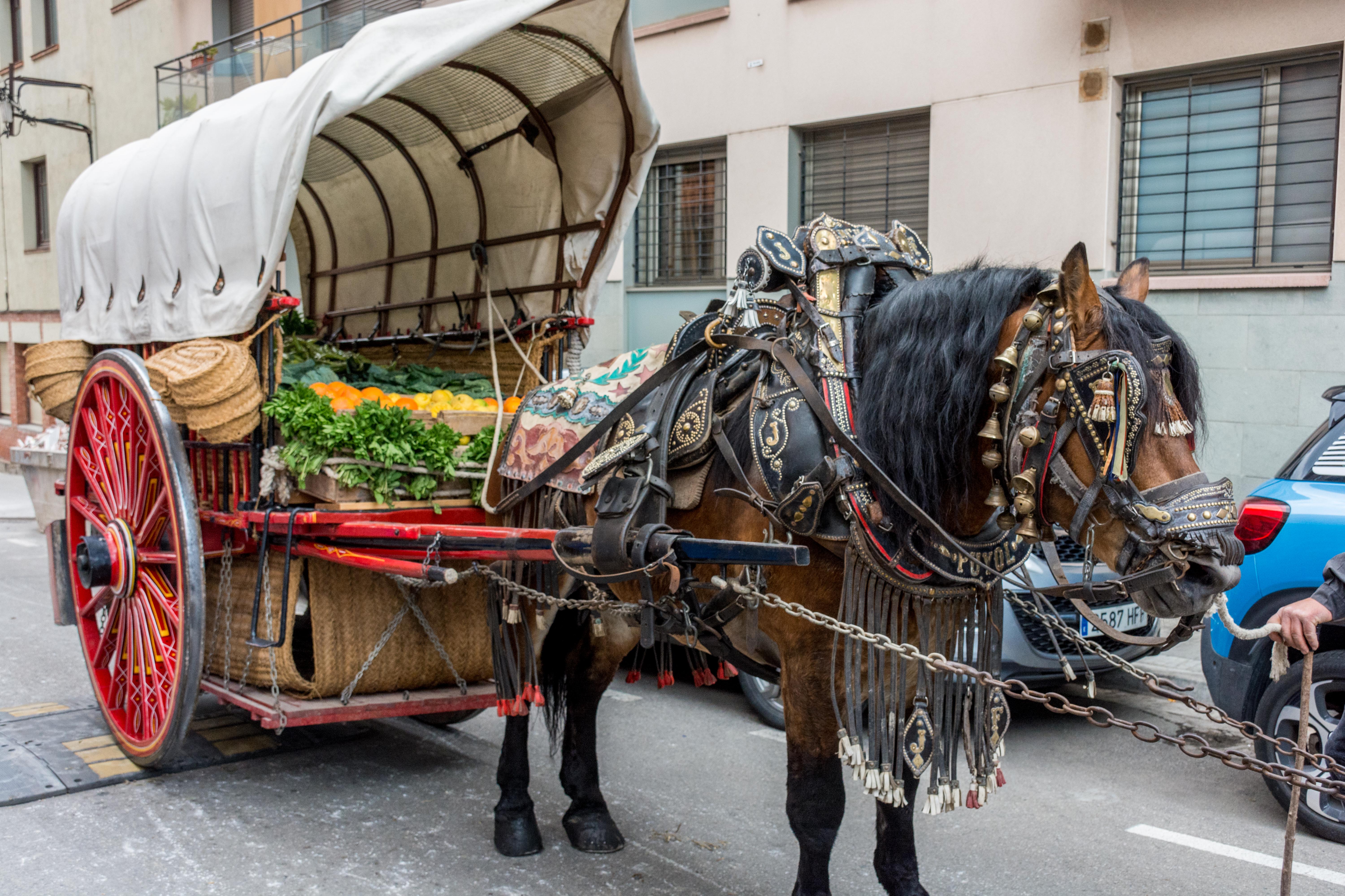 Rua dels Tres Tombs 2022. FOTO: Carmelo Jiménez