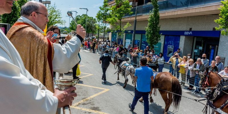 Al final de la rua s'ha fet la tradicional benedicció dels animals. FOTO: Carmelo Jiménez