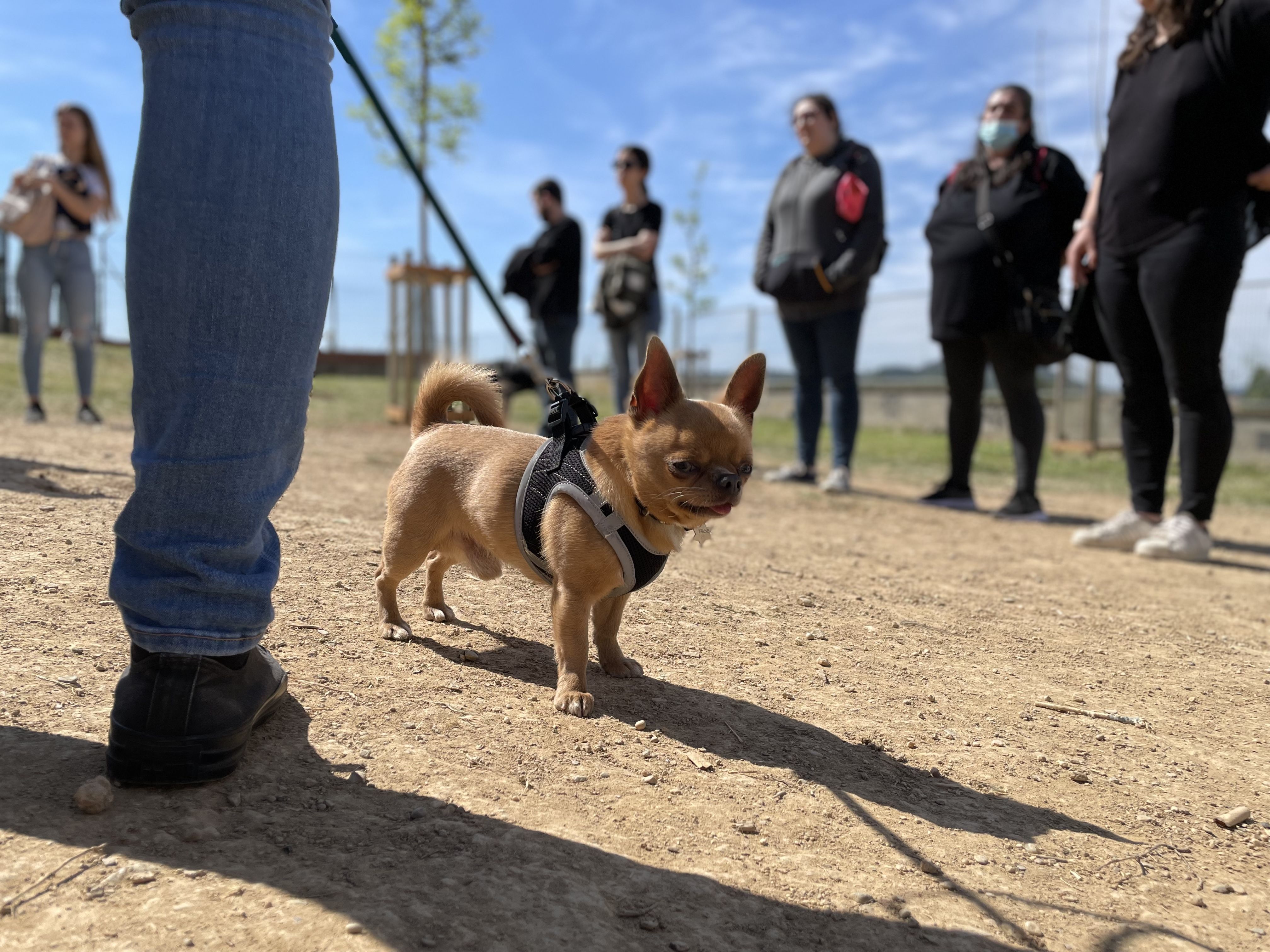 Jornada lúdica al parc de la Pau i la Natura. FOTO: Arnau Martínez