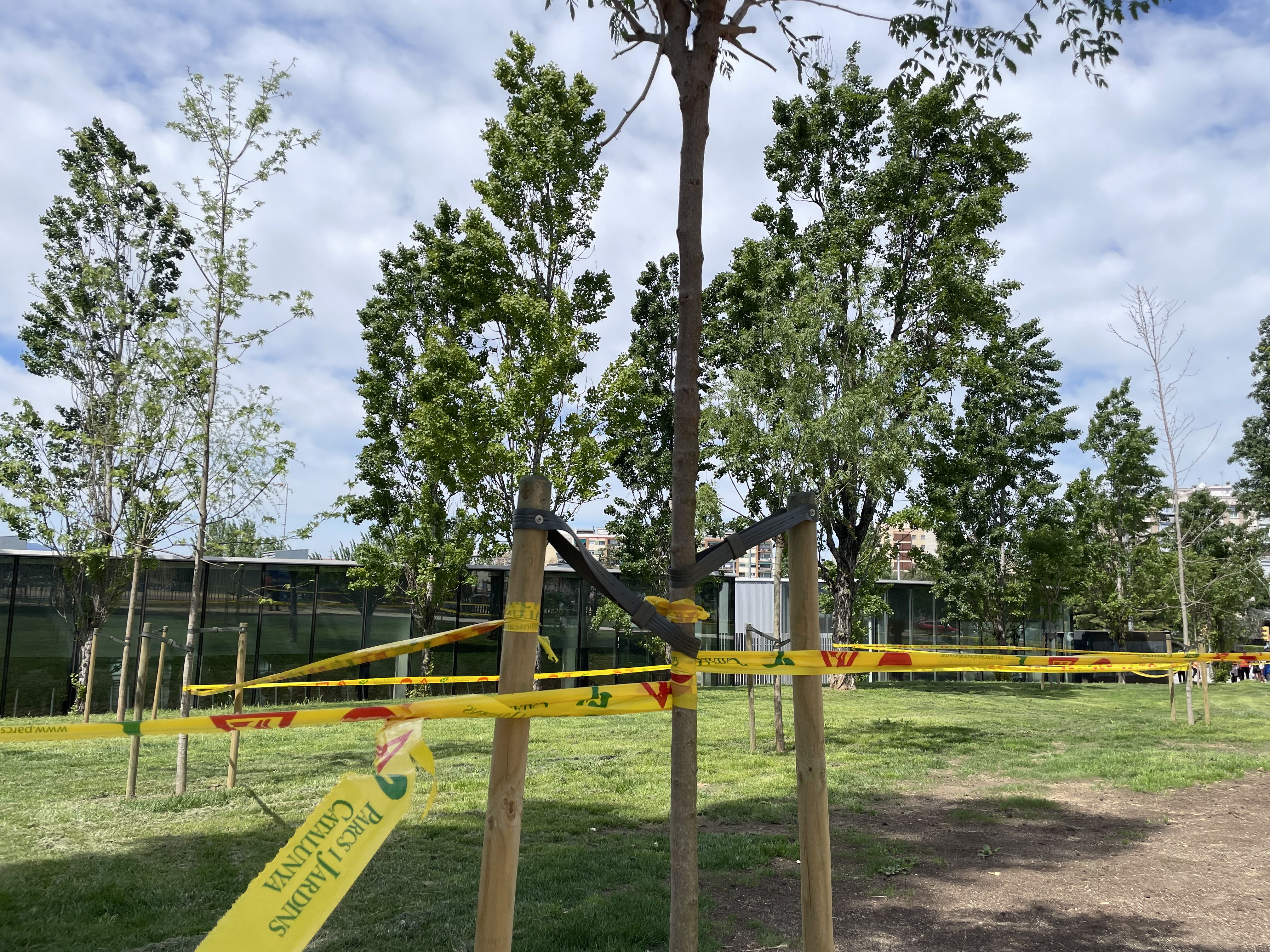 Jornada lúdica al parc de la Pau i la Natura. FOTO: Arnau Martínez