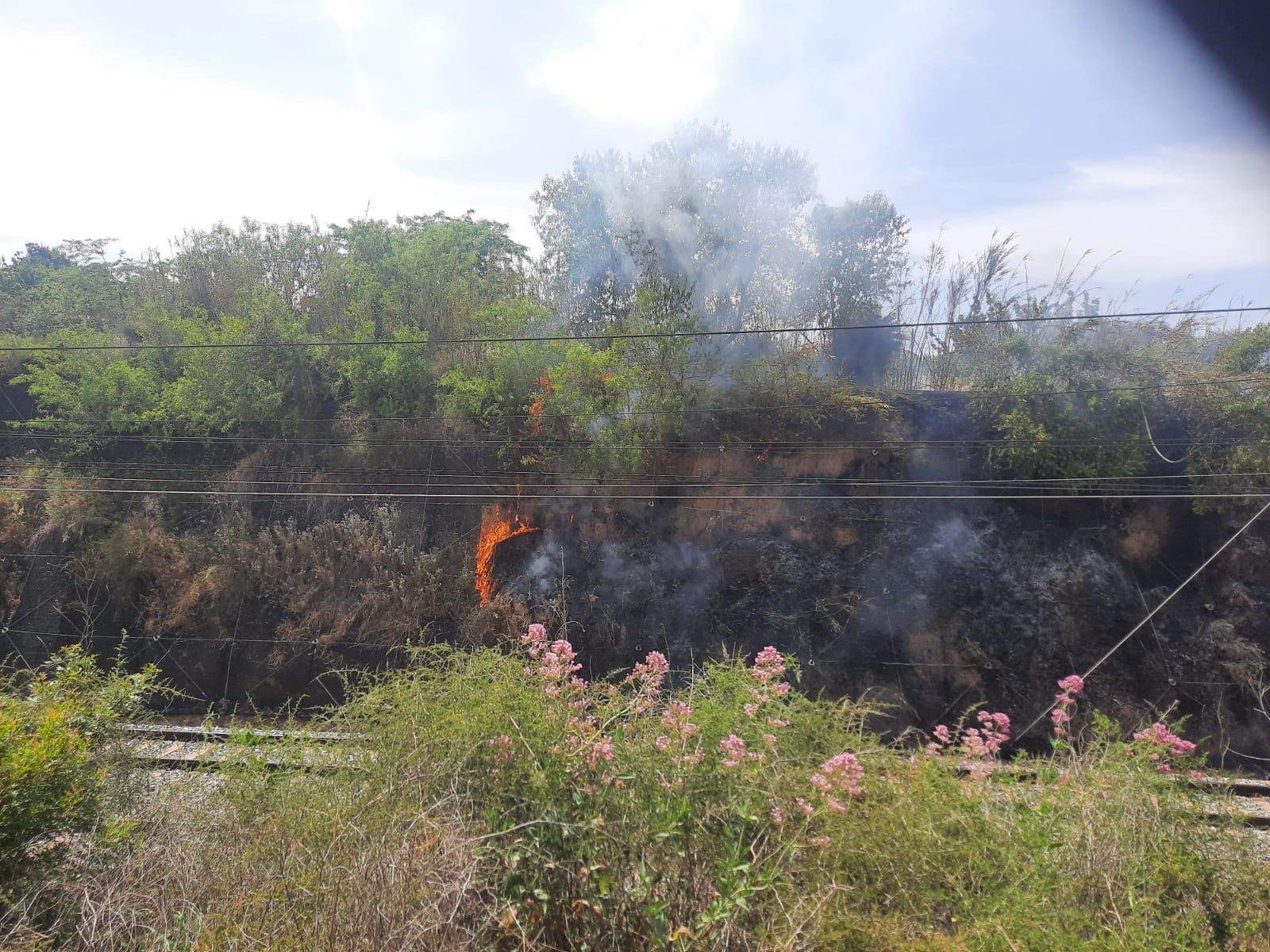 Incendi prop de les vies de l’alçada del polígon La Llana. FOTO: Cedida