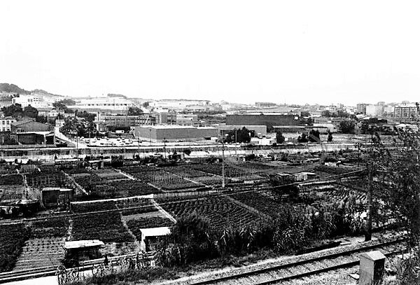 Horts de la Llana, 1989. FOTO: Sergi Colomer Horts de la Llana, 1989. FOTO: Sergi Colomer