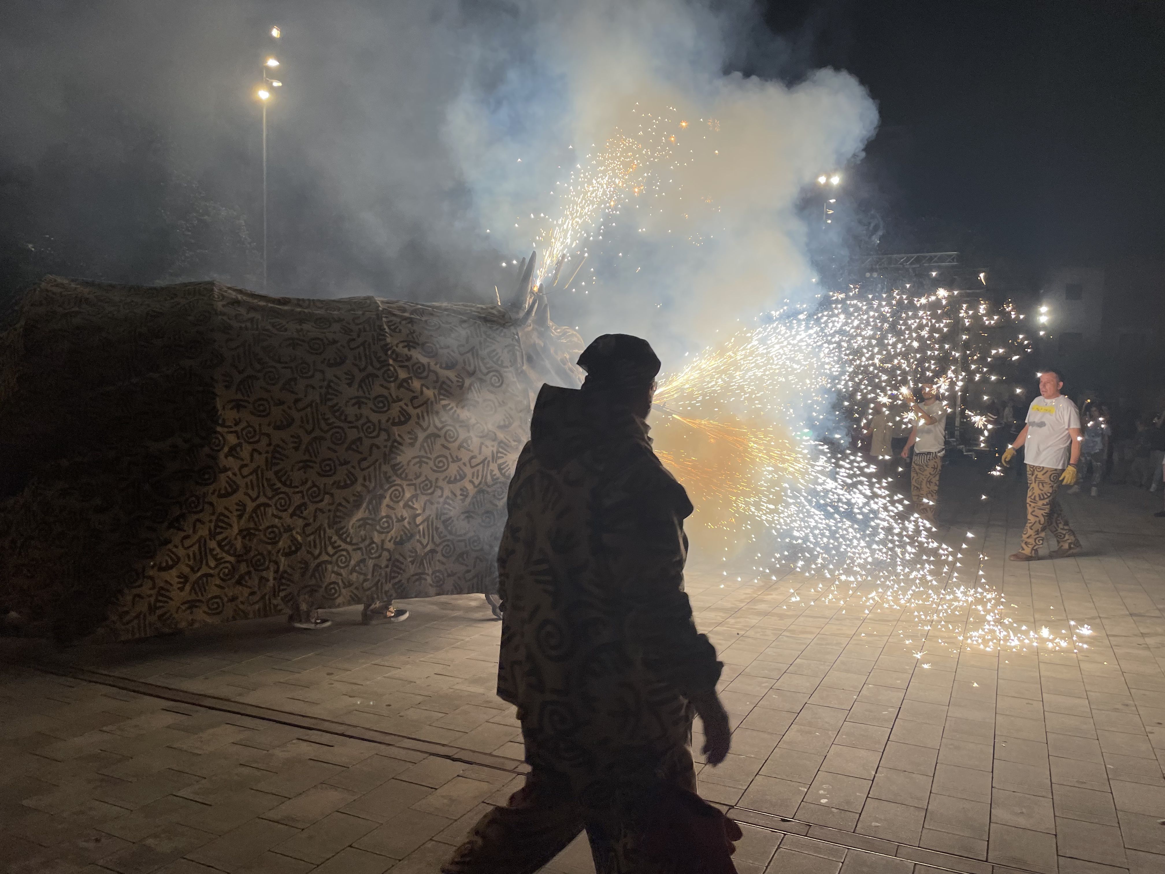 Imatge dels Tocs de Sant Roc 2022. FOTO: Arnau Martínez