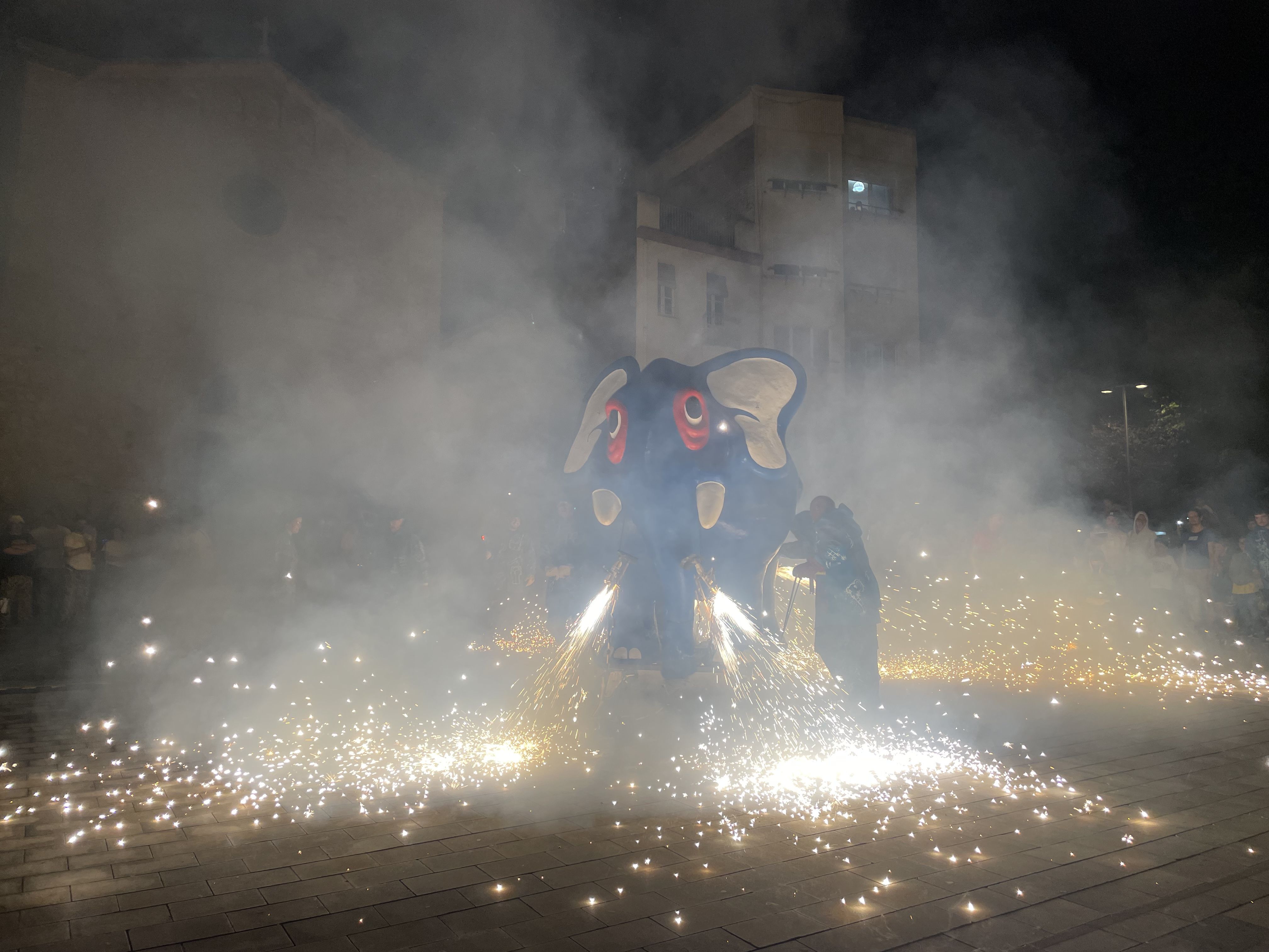 Imatge dels Tocs de Sant Roc 2022. FOTO: Arnau Martínez