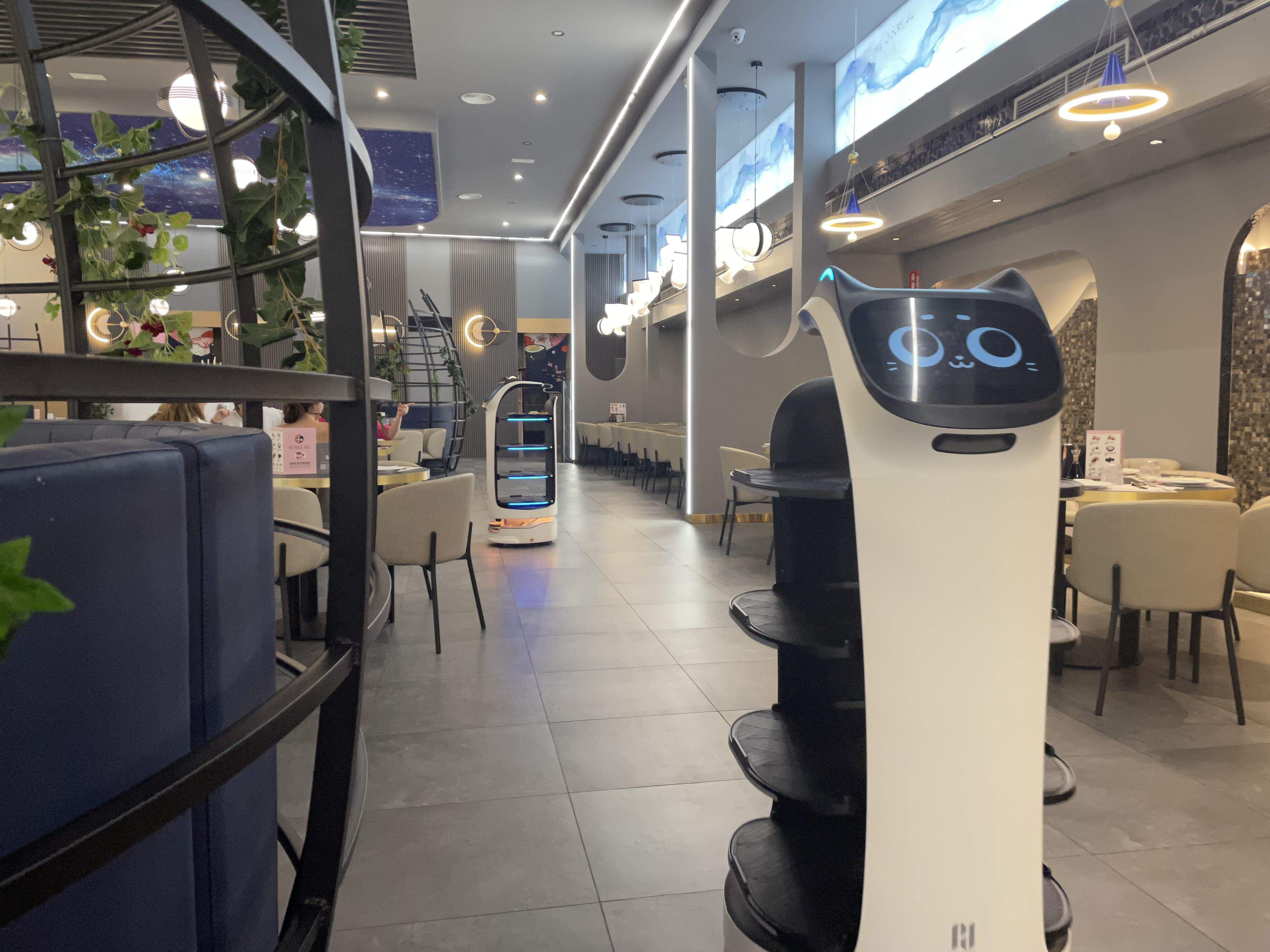 Un dels cambrers robot amb cara de gat del restaurant Sushi He de Rubí. FOTO: NHS