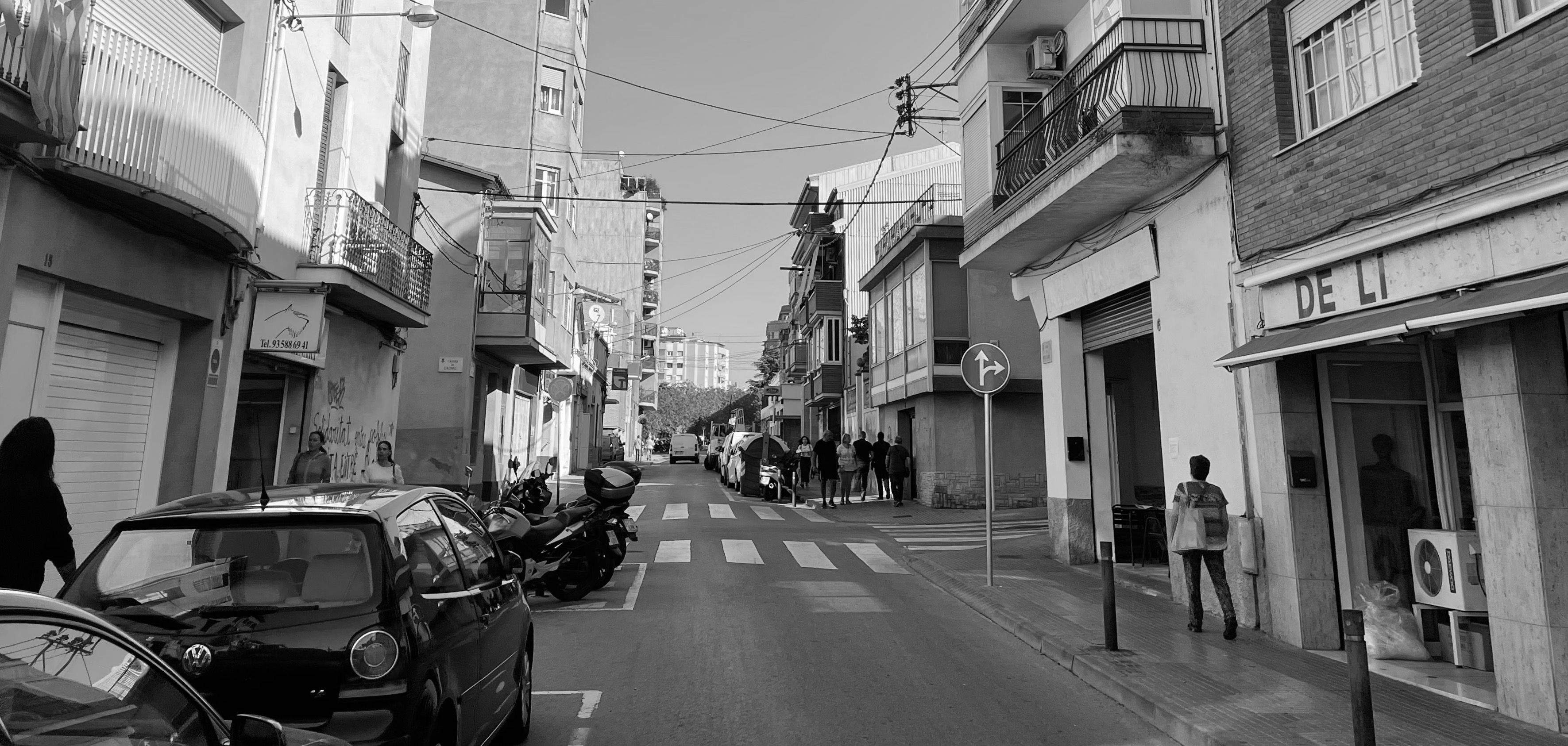 Article d'opinió de Josep Milà sobre l'urbanisme i els arbres. FOTO: Redacció