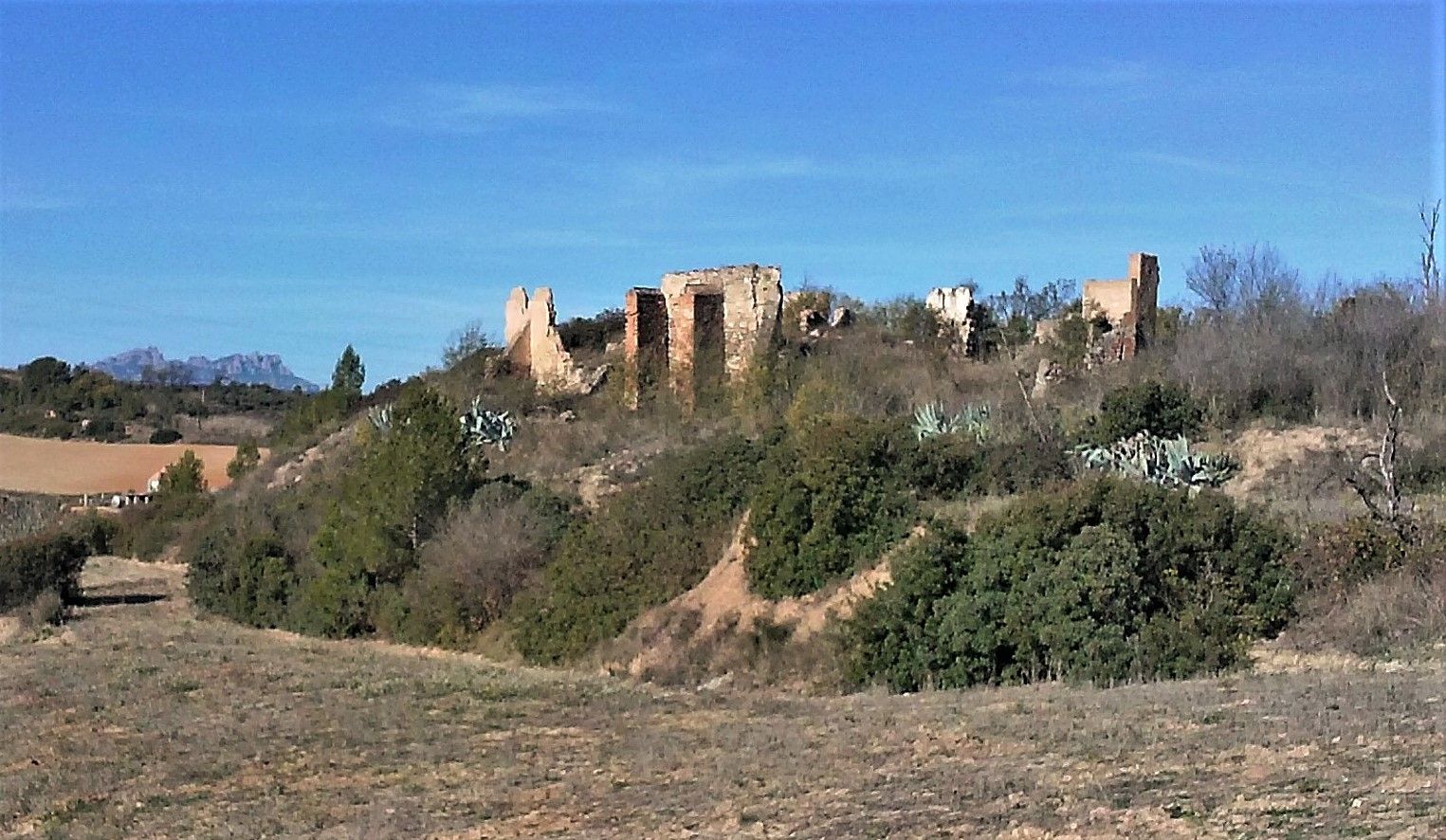 Les ruïnes de Can Riquer, any 2015. FOTO: Jordi Vilalta