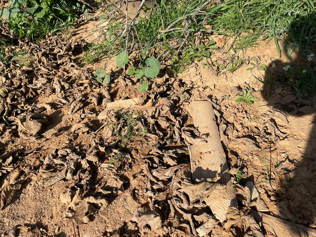 Trossos de fibrociment al terreny. FOTO: Estela Luengo