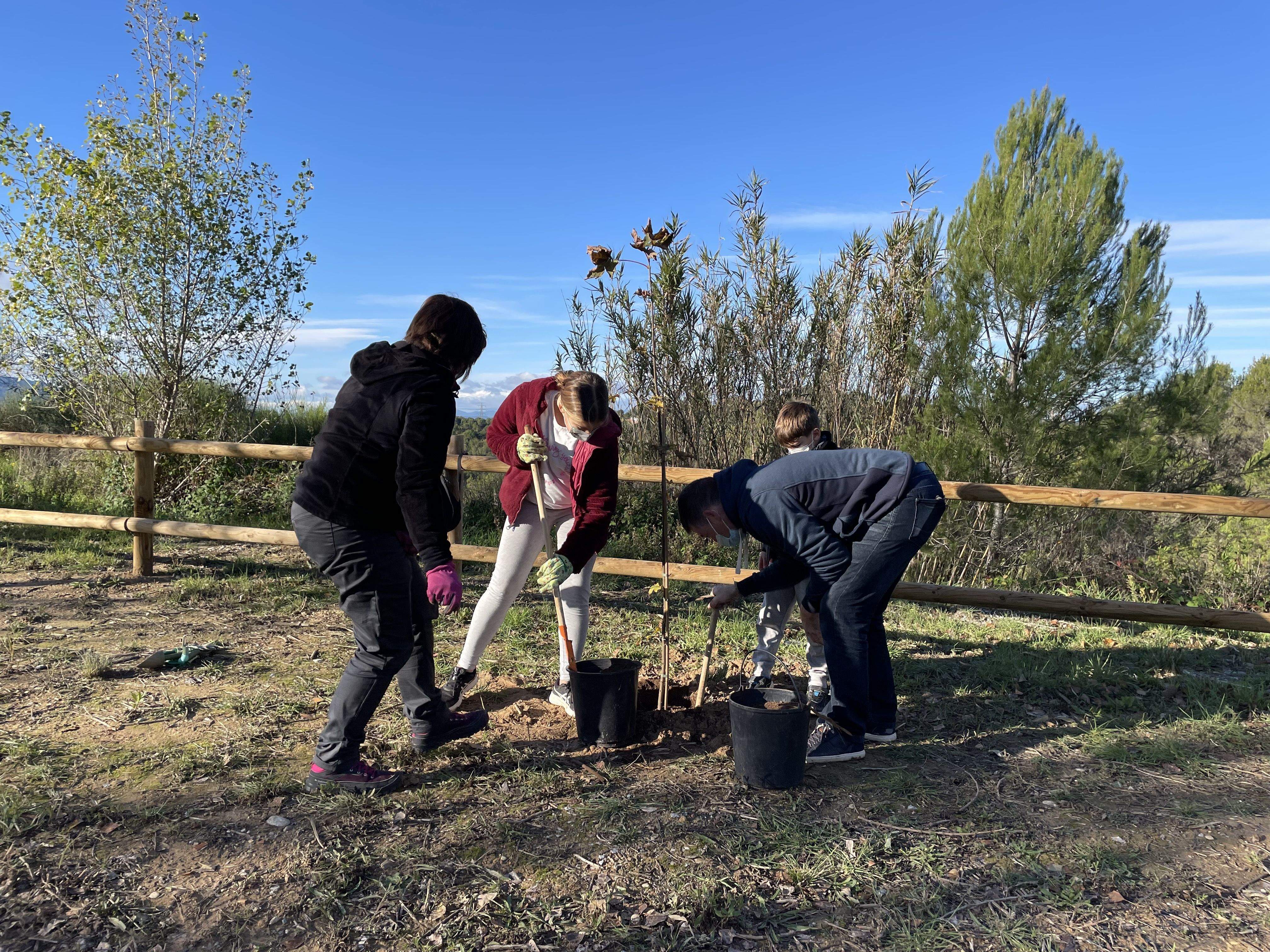 L'any passat es van plantar una setantena d'arbres a Sant Muç amb motiu del Dia de l’arbre autòcton. FOTO: Arxiu