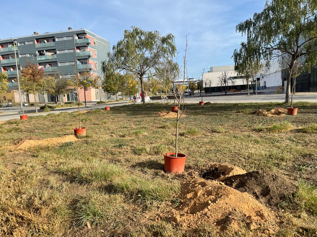 Una de les notícies més destacades de la setmana a Rubí, com el centenar d'arbres que es van plantar al torrent dels alous. FOTO: Estela Luengo