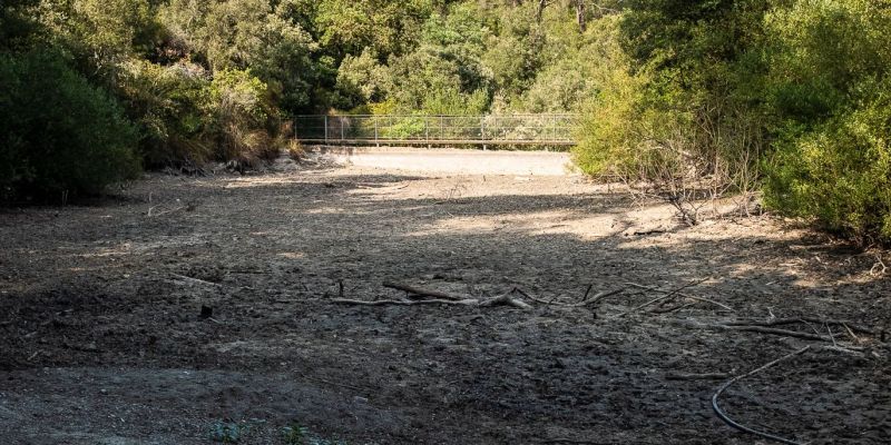 El pantà de Can Borrell (Sant Cugat) es va assecar el mes de juliol. FOTO: Ale Gómez 