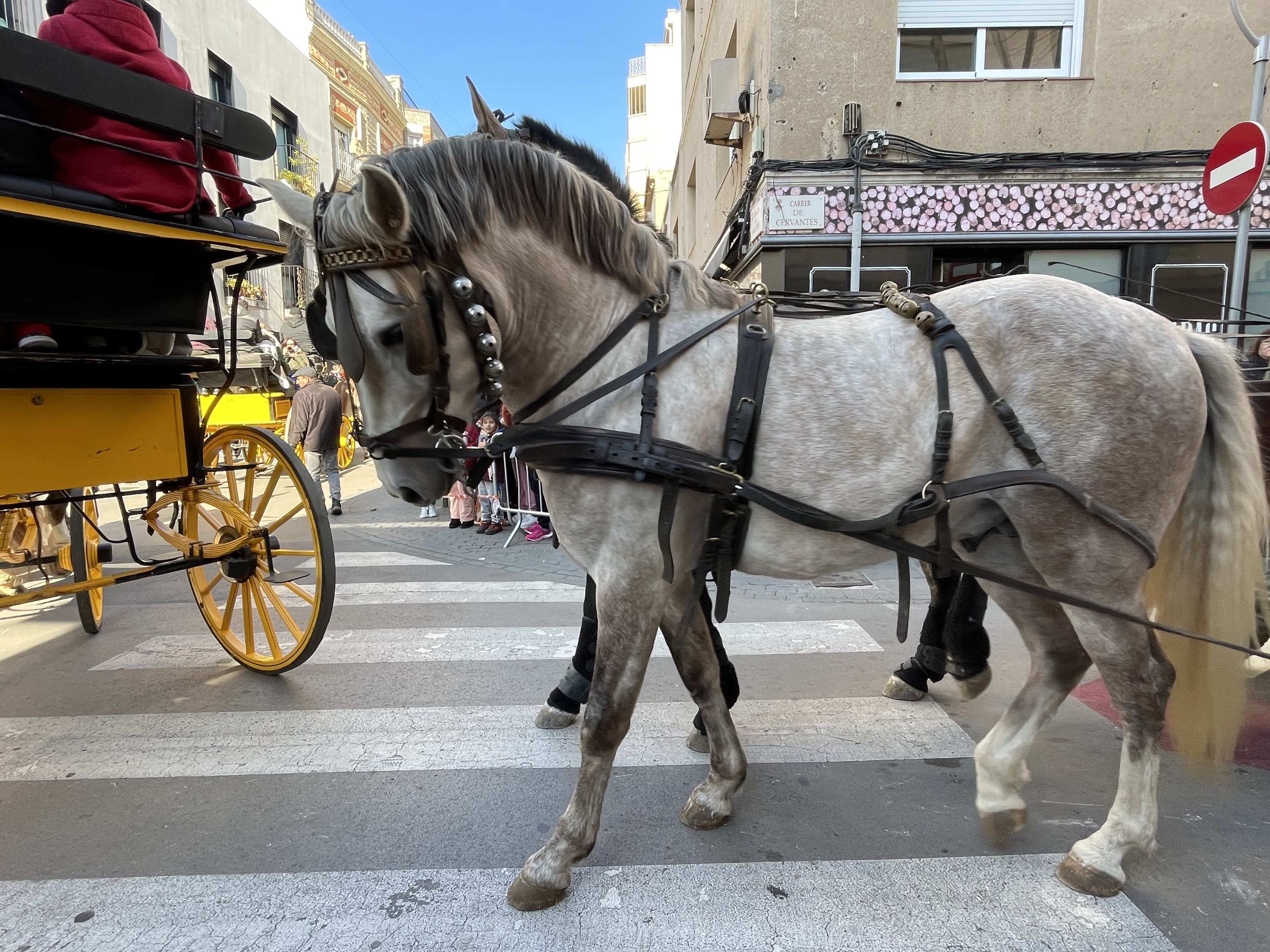 Sant Antoni Abat i la Rua dels Tres Tombs 2023. FOTO: Estela Luengo