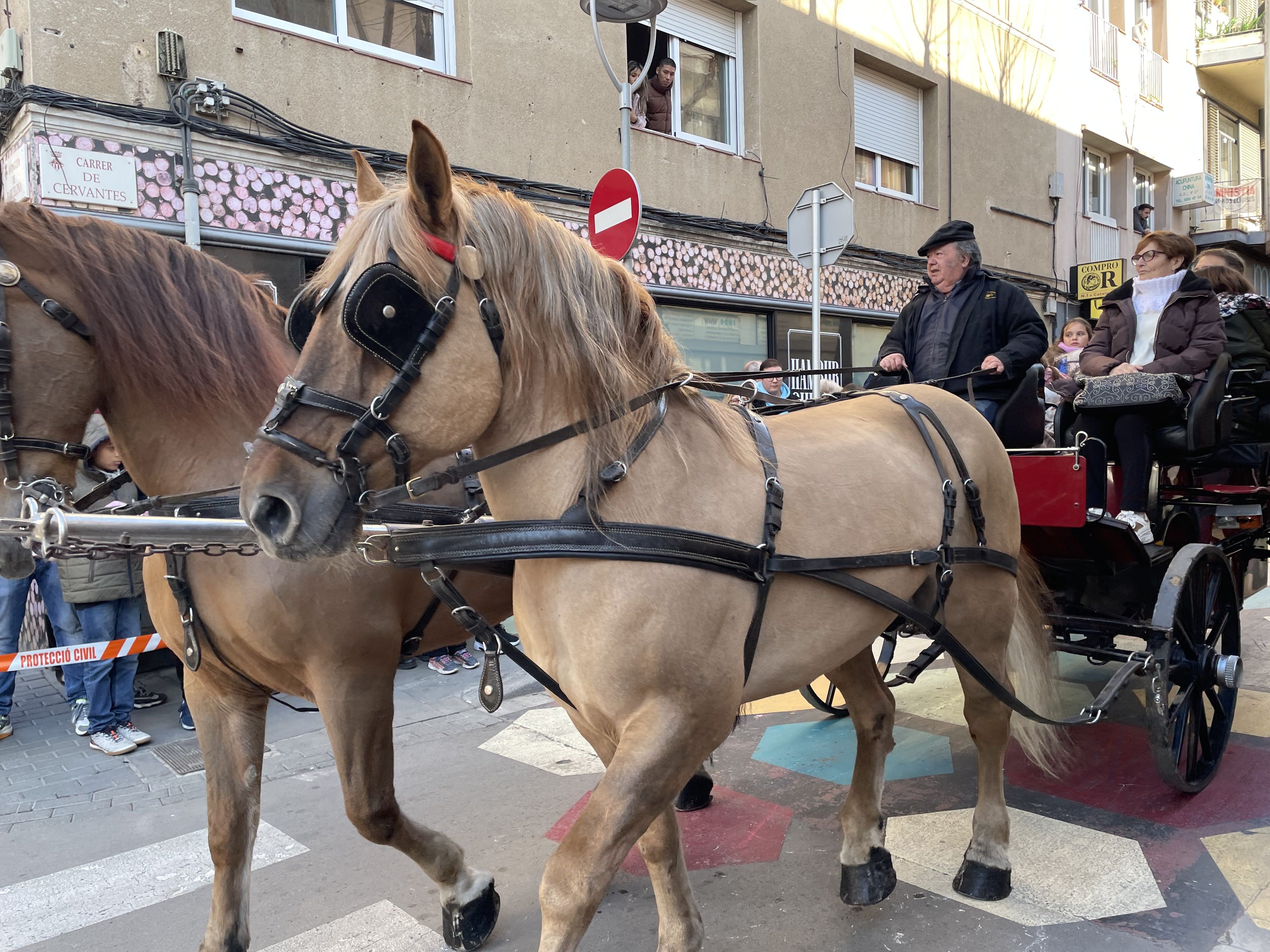 Sant Antoni Abat i la Rua dels Tres Tombs 2023. FOTO: Estela Luengo