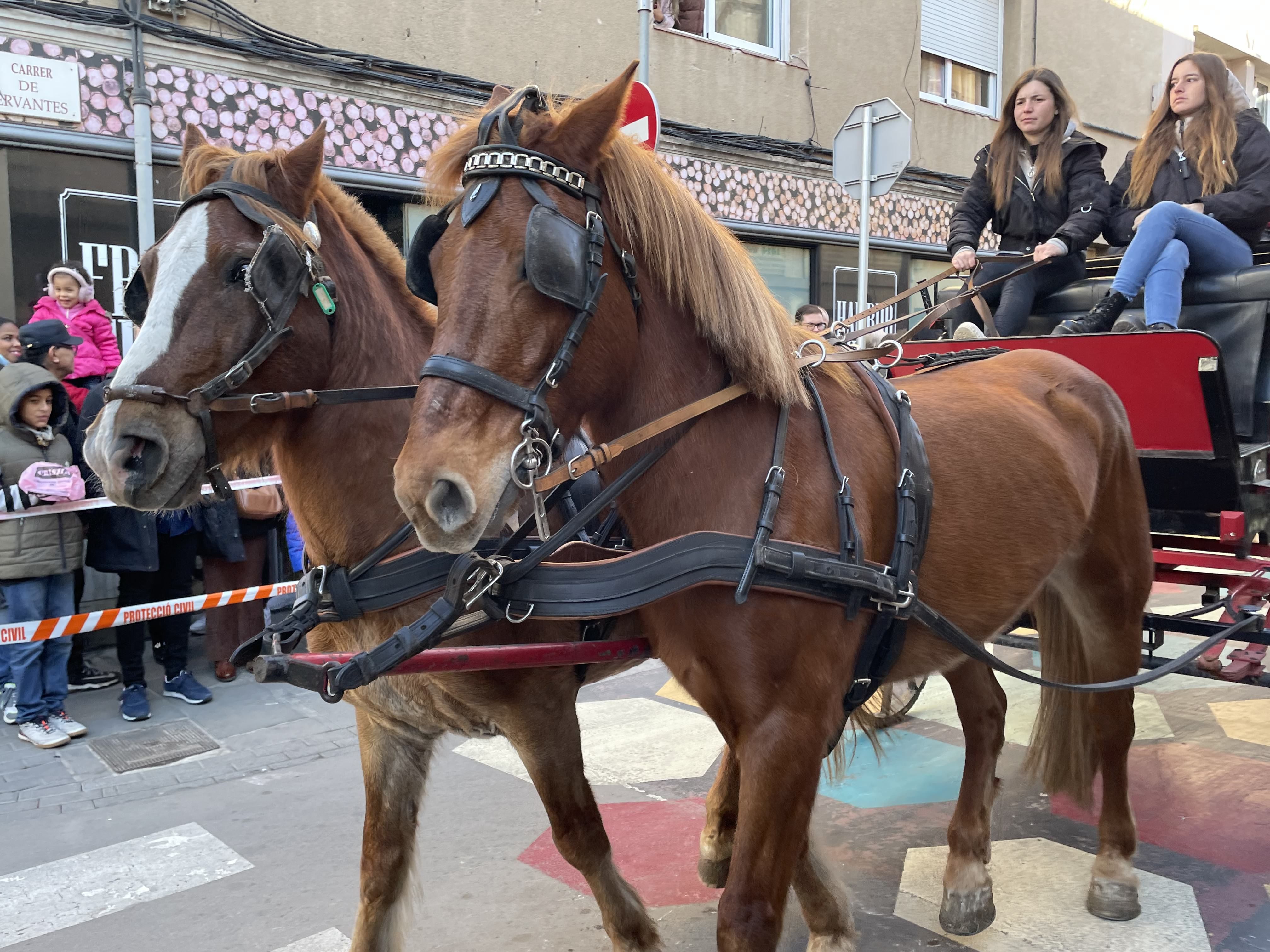 Sant Antoni Abat i la Rua dels Tres Tombs 2023. FOTO: Estela Luengo