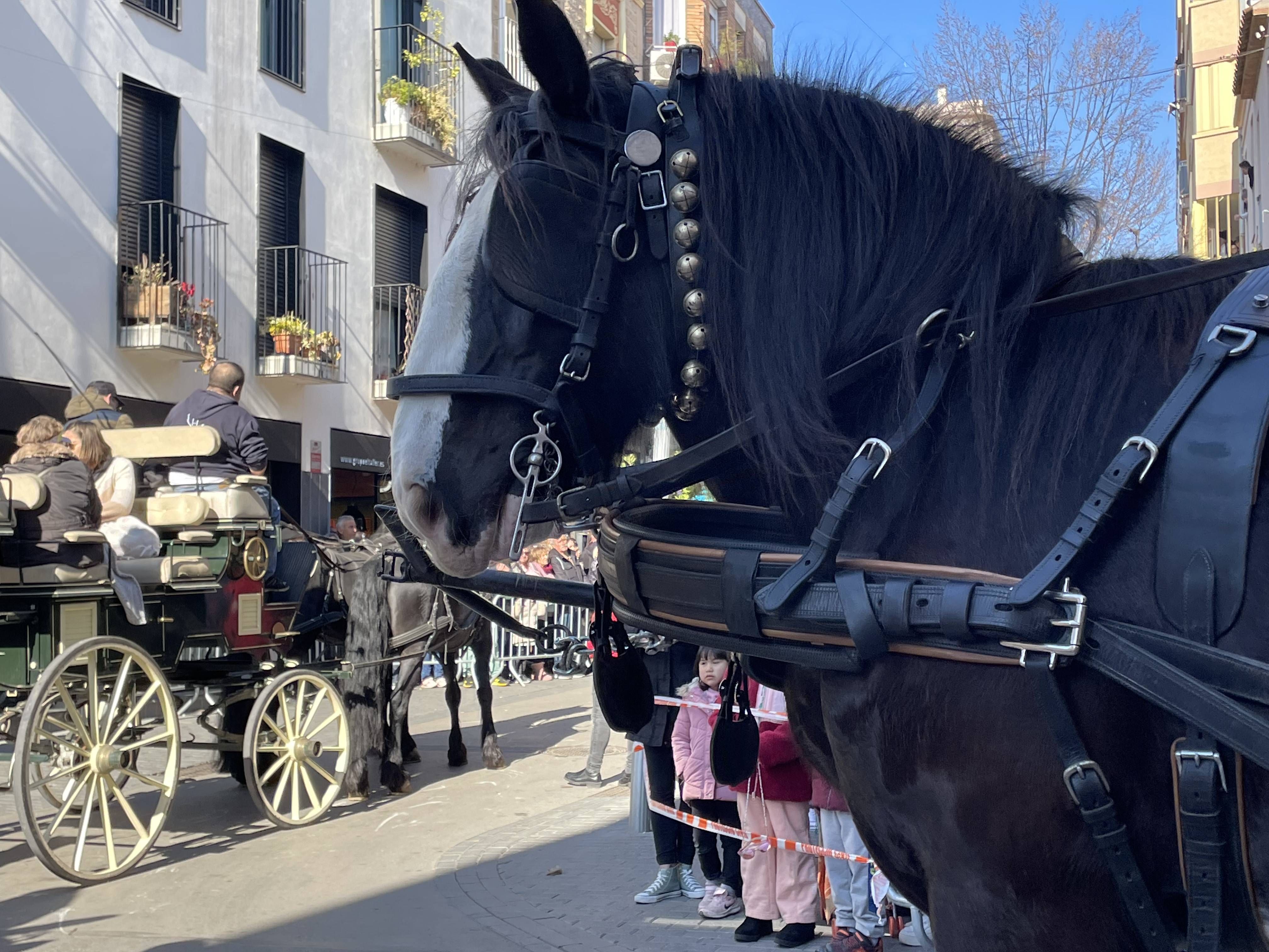 Sant Antoni Abat i la Rua dels Tres Tombs 2023. FOTO: Estela Luengo