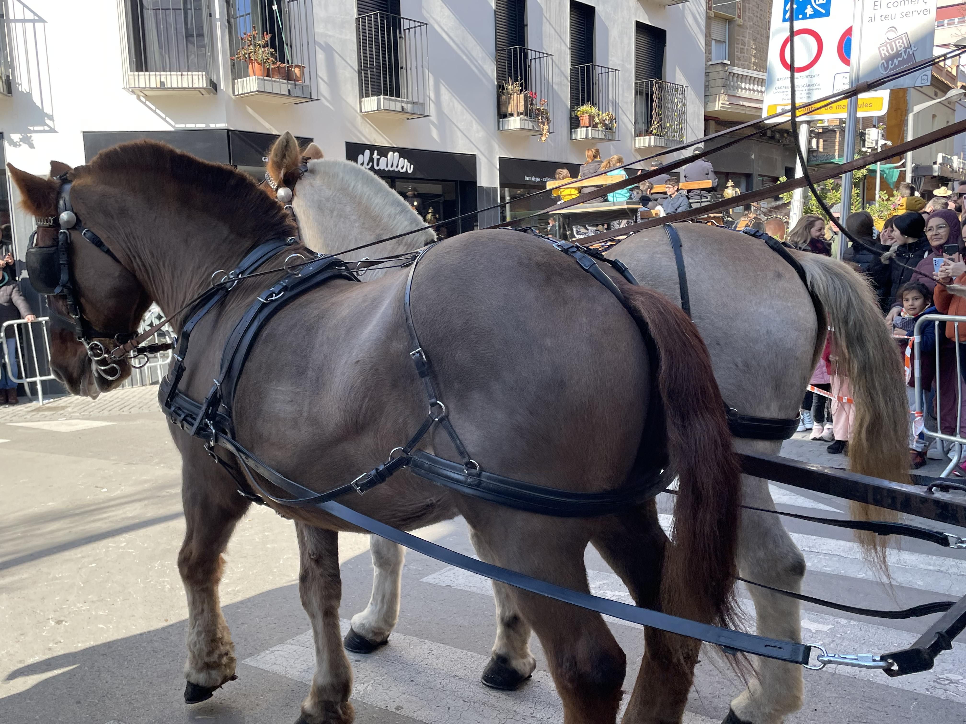 Sant Antoni Abat i la Rua dels Tres Tombs 2023. FOTO: Estela Luengo