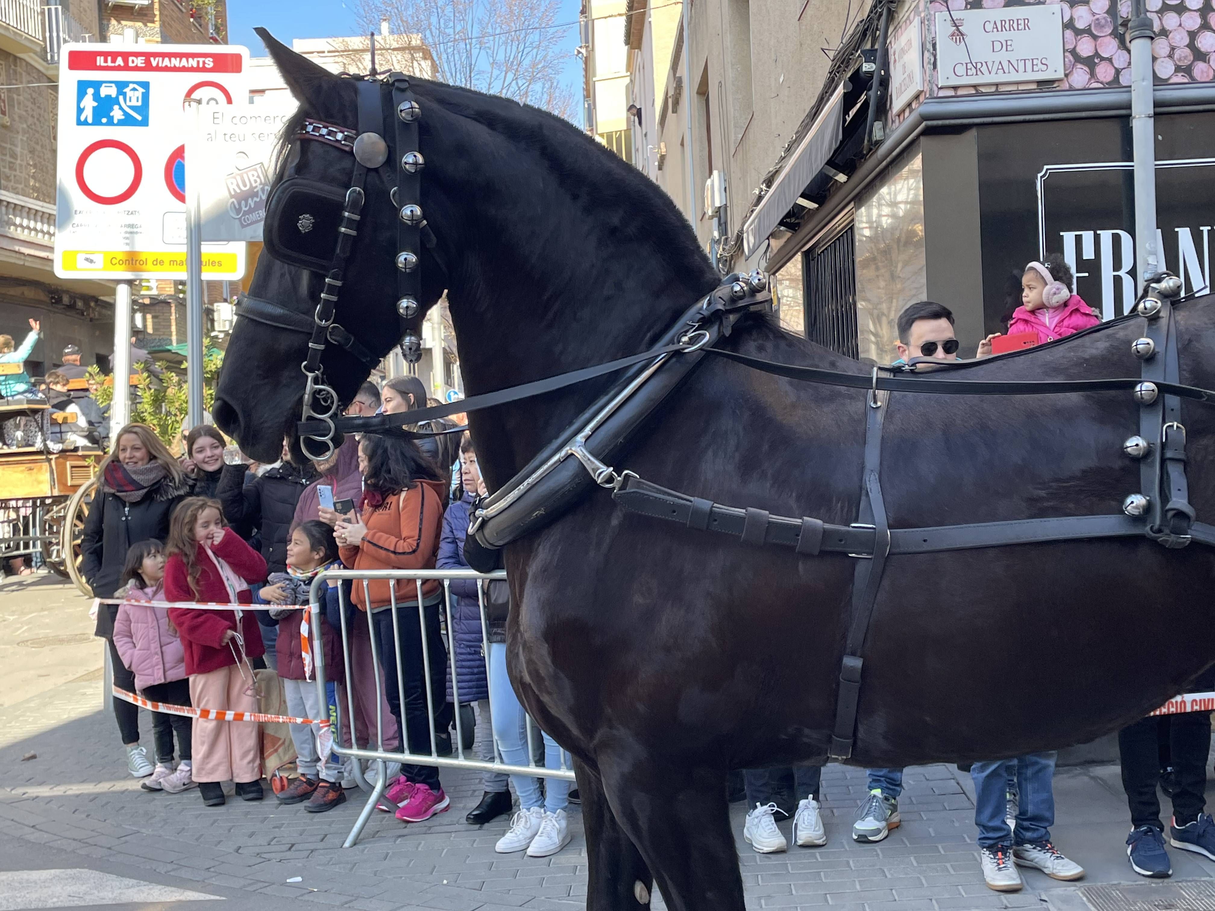 Sant Antoni Abat i la Rua dels Tres Tombs 2023. FOTO: Estela Luengo