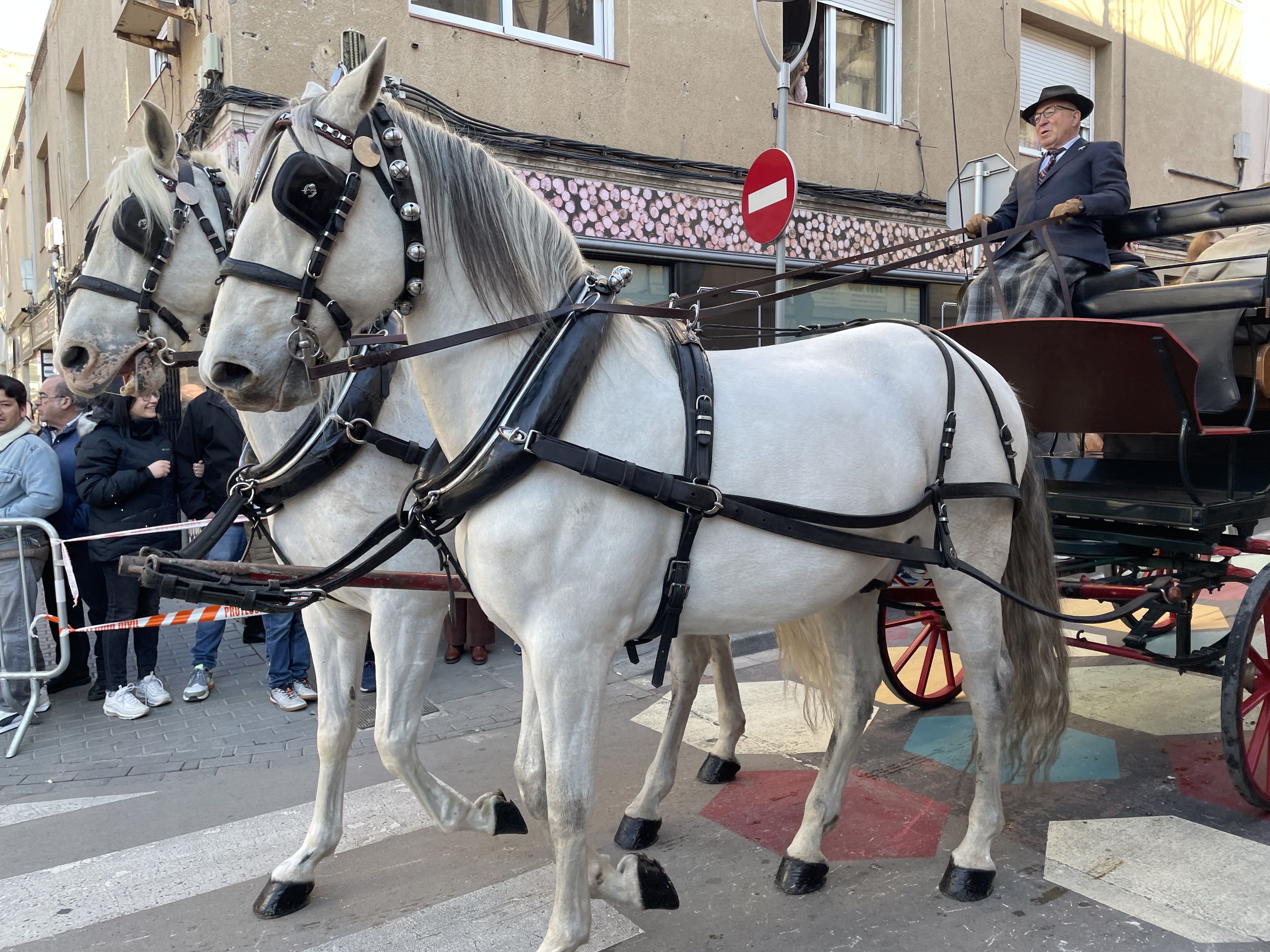 Sant Antoni Abat i la Rua dels Tres Tombs 2023. FOTO: Estela Luengo