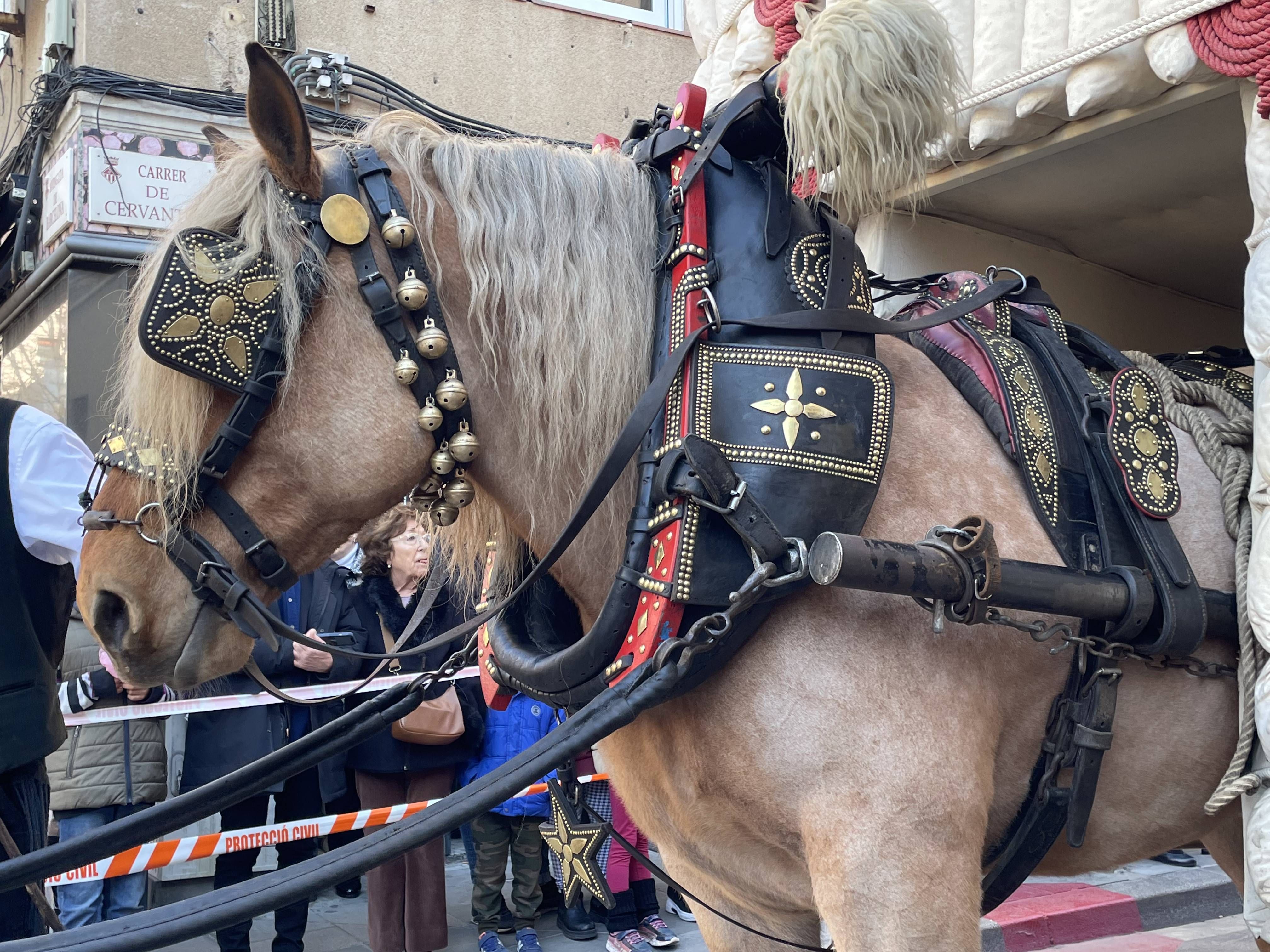 Sant Antoni Abat i la Rua dels Tres Tombs 2023. FOTO: Estela Luengo