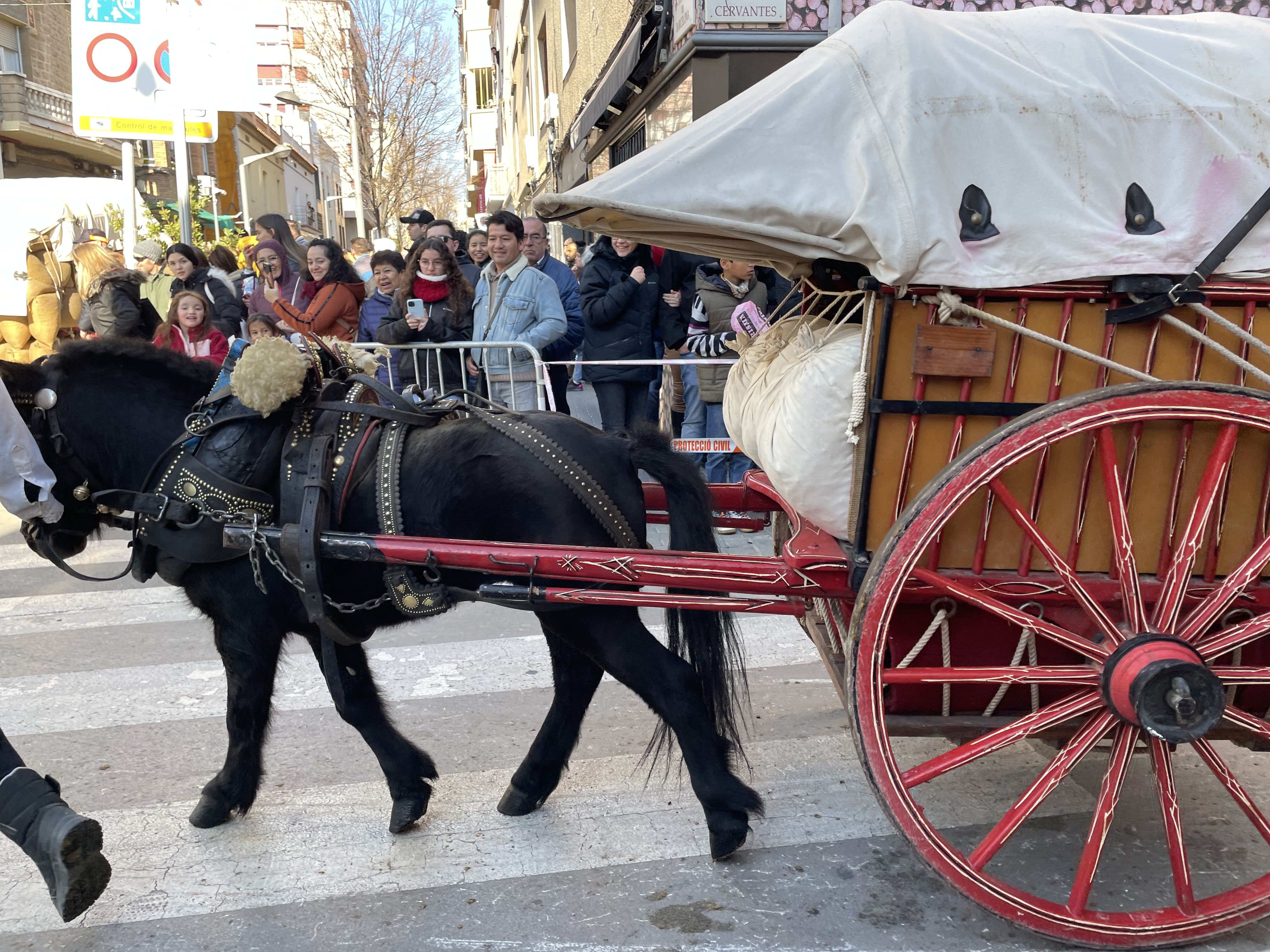 Sant Antoni Abat i la Rua dels Tres Tombs 2023. FOTO: Estela Luengo