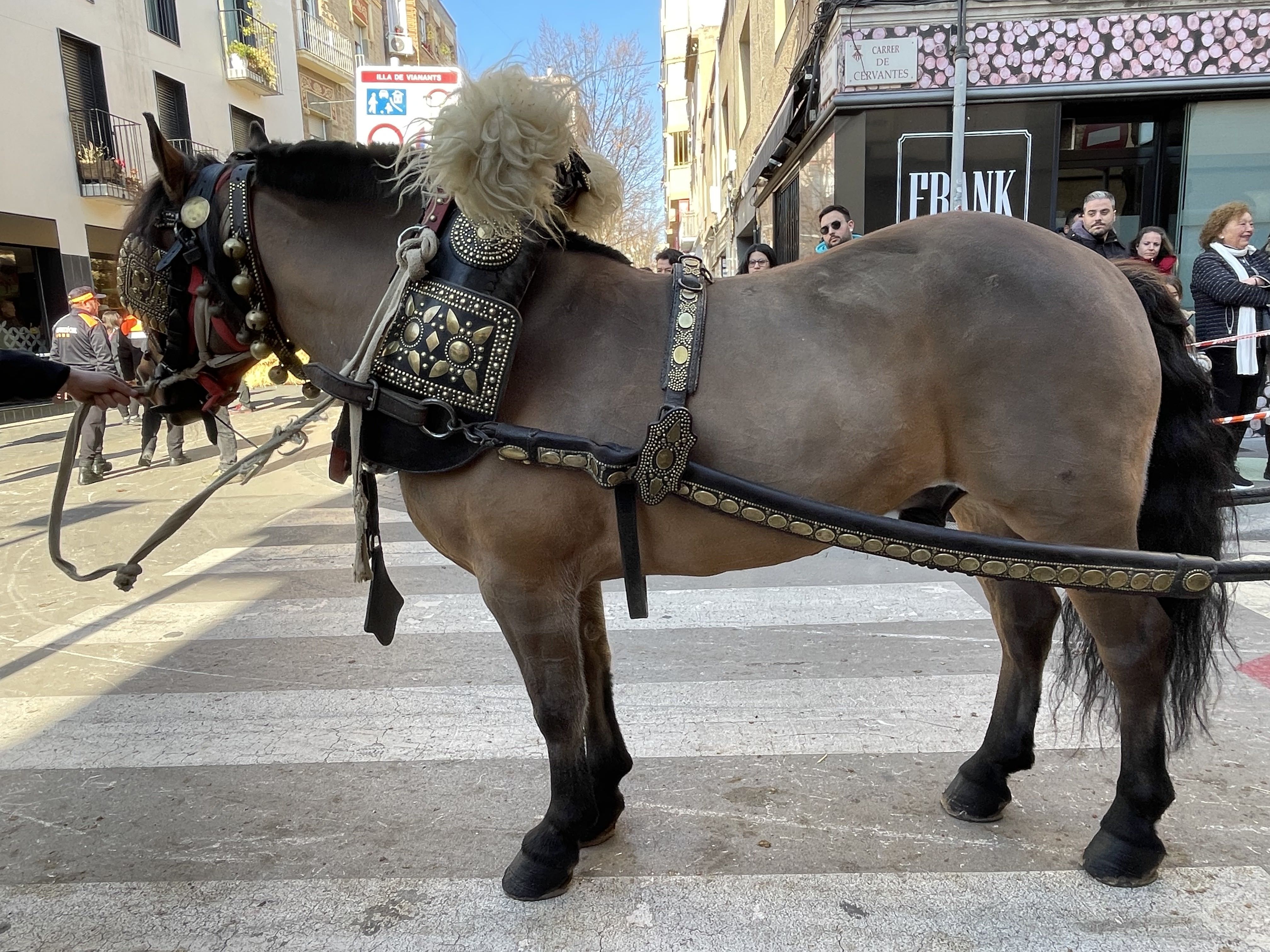 Sant Antoni Abat i la Rua dels Tres Tombs 2023. FOTO: Estela Luengo